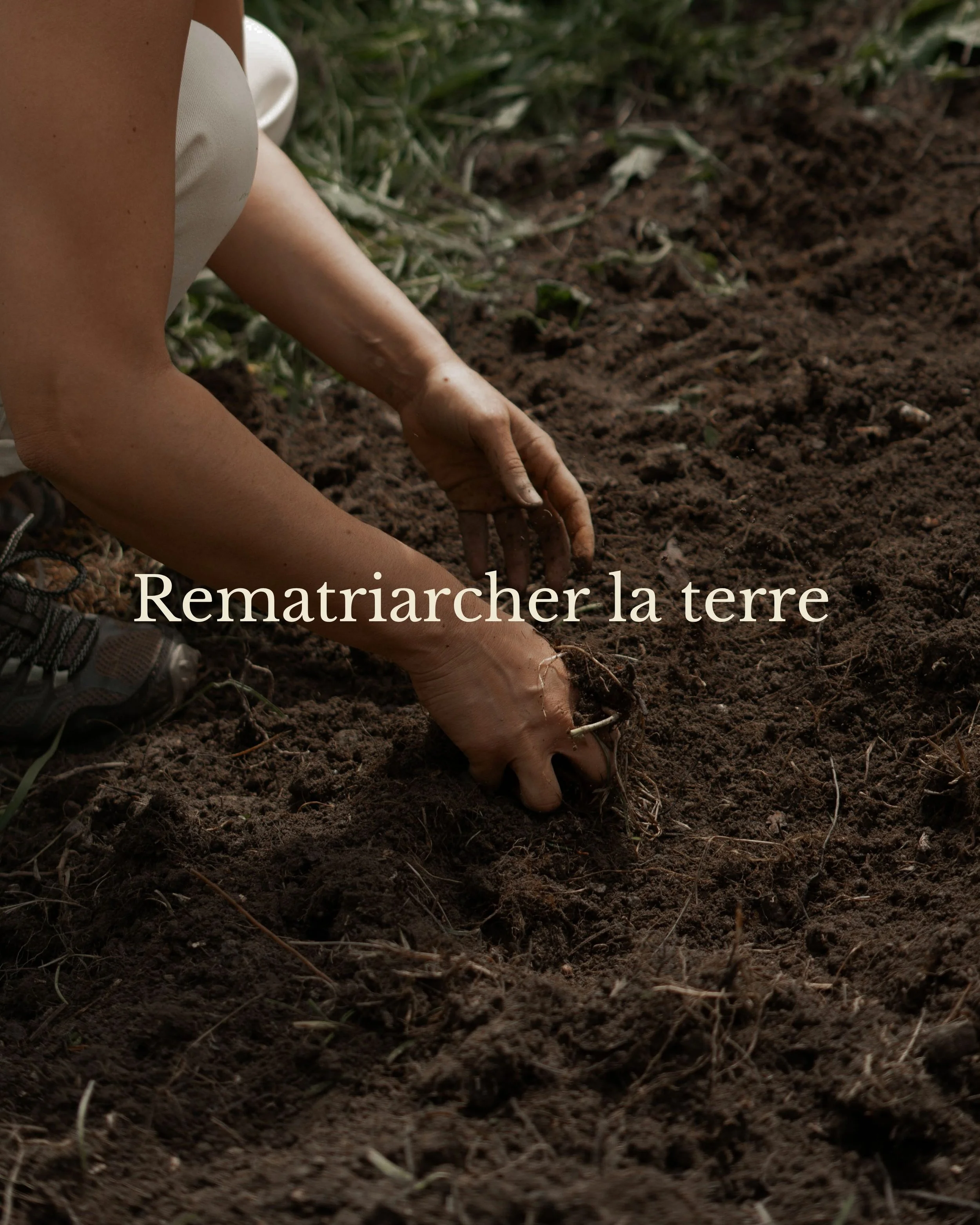 Big Text Page (4).jpg