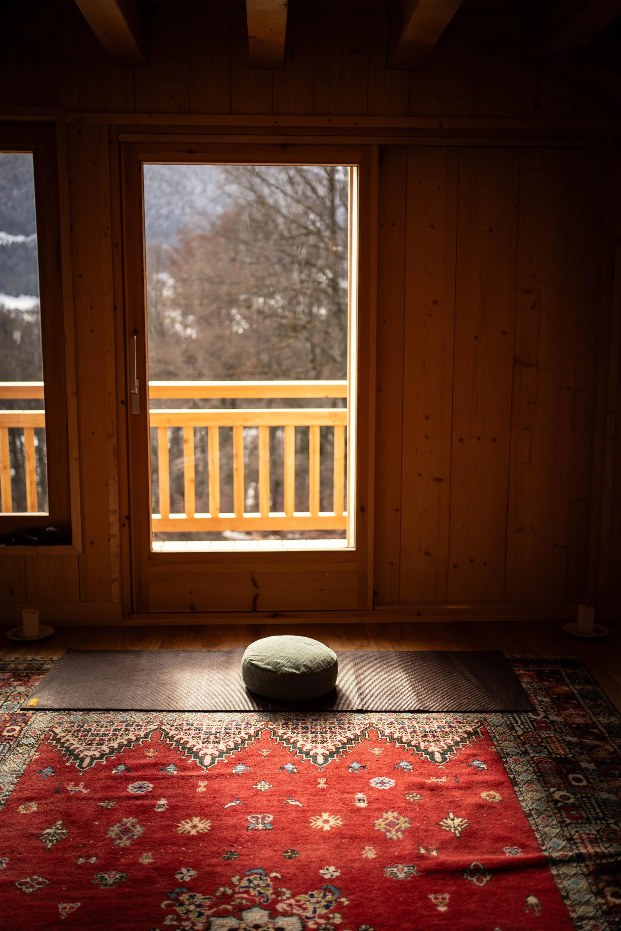 RACINE retraite écriture, arts, écriture sensible, cercle de parole nature, plantes médicinales d’automne, lignée et racines, retraite créativité, retraite nourriture âme, retraite restauration Camille Pelloux