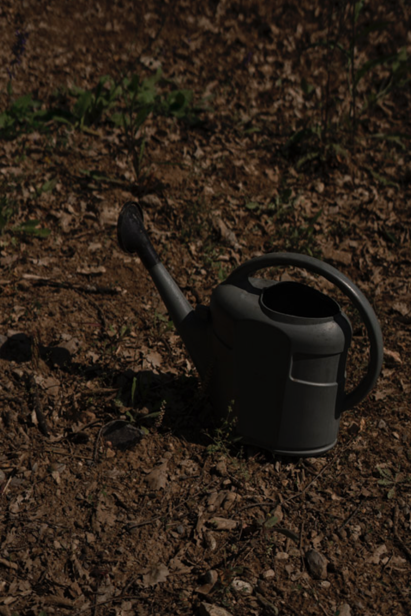 Captura de pantalla 2026-03-16 a la(s) 19.13.10.png