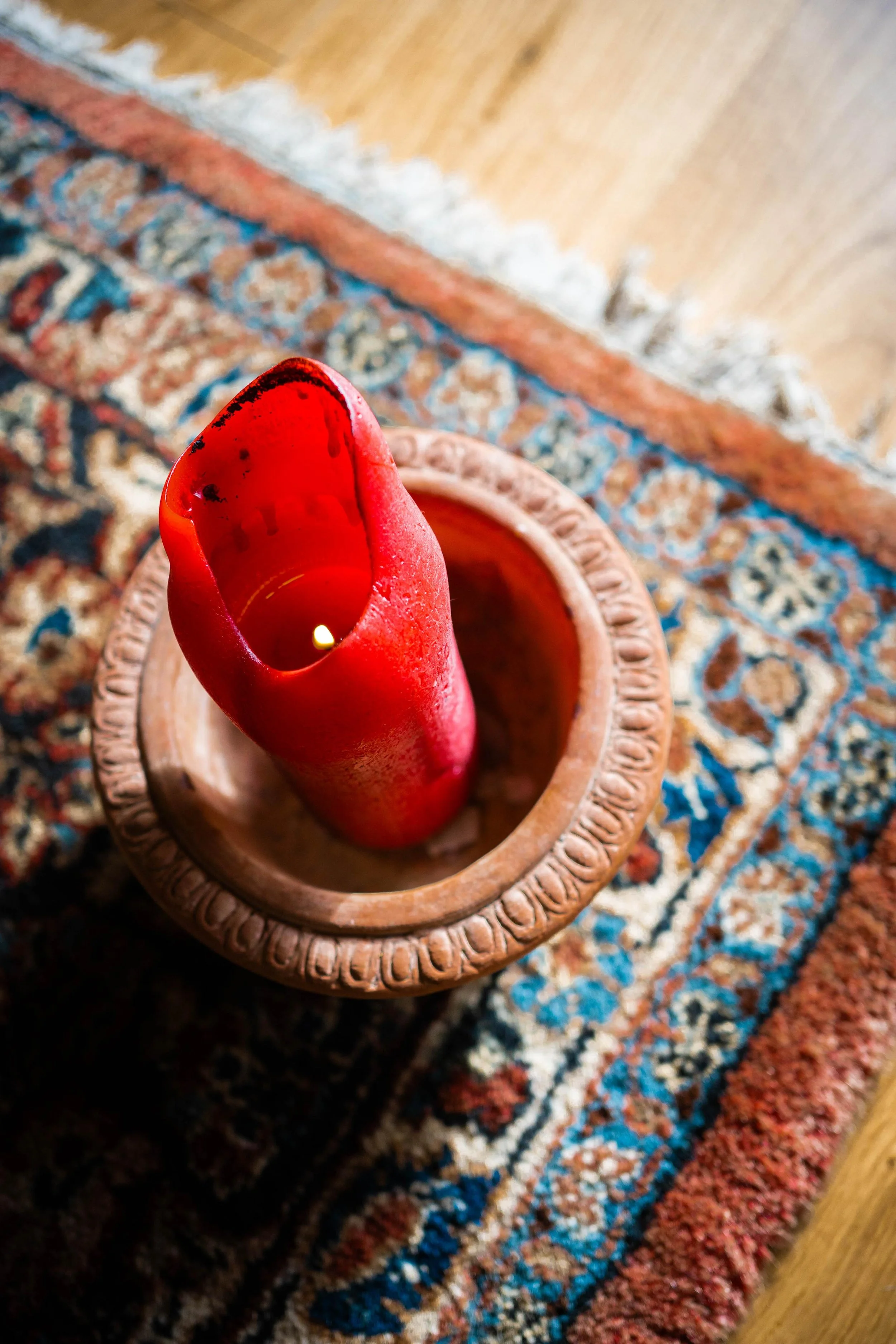 RACINE retraite écriture, arts, écriture sensible, cercle de parole nature, plantes médicinales d’automne, lignée et racines, retraite créativité, retraite nourriture âme, retraite restauration Camille Pelloux