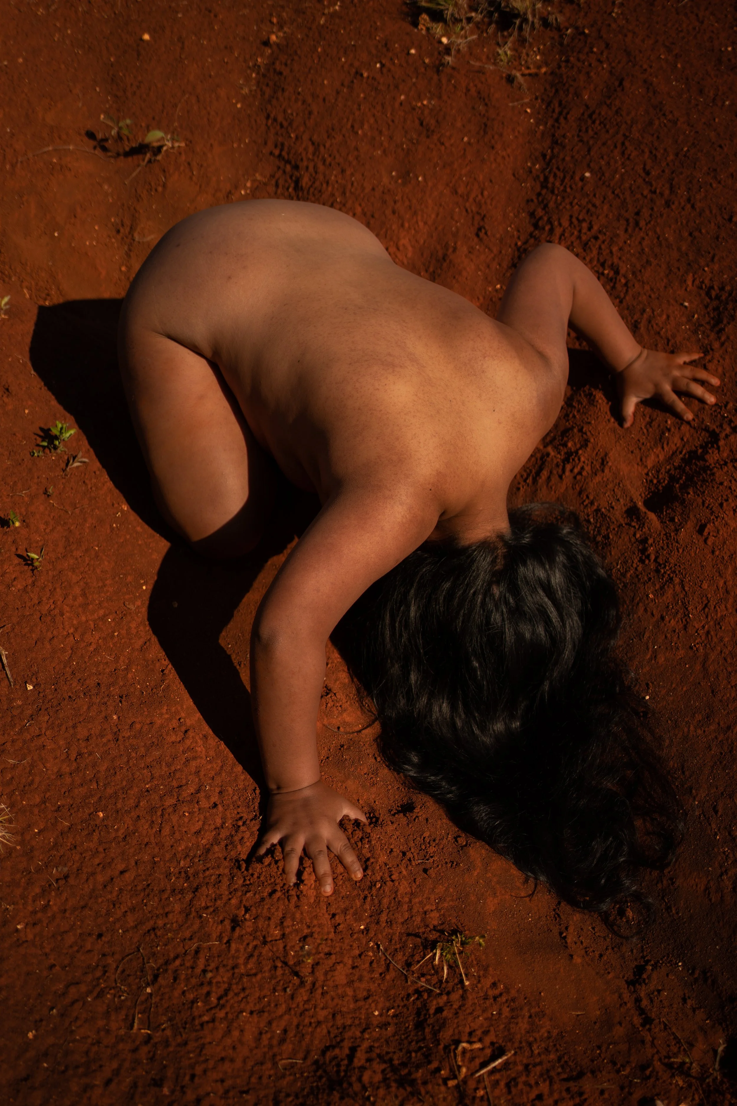 LIBRO PROYECTO -01.jpg