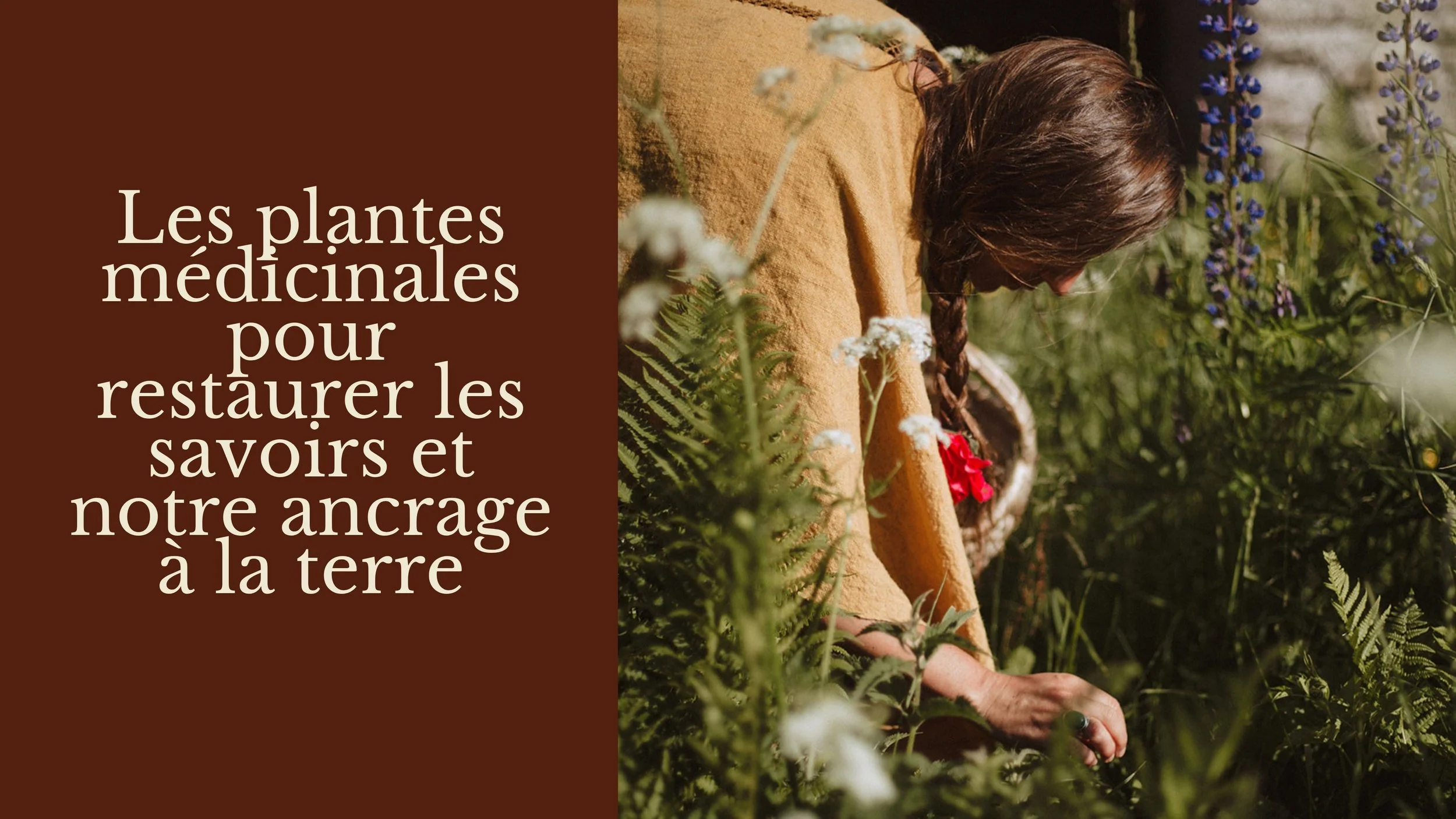 Une personne avec des cheveux bruns longs et une tresse, vue de dos, en train de cueillir des plantes dans un jardin ou une champ. Les plantes sont pour des usages médicinaux ou spirituels.