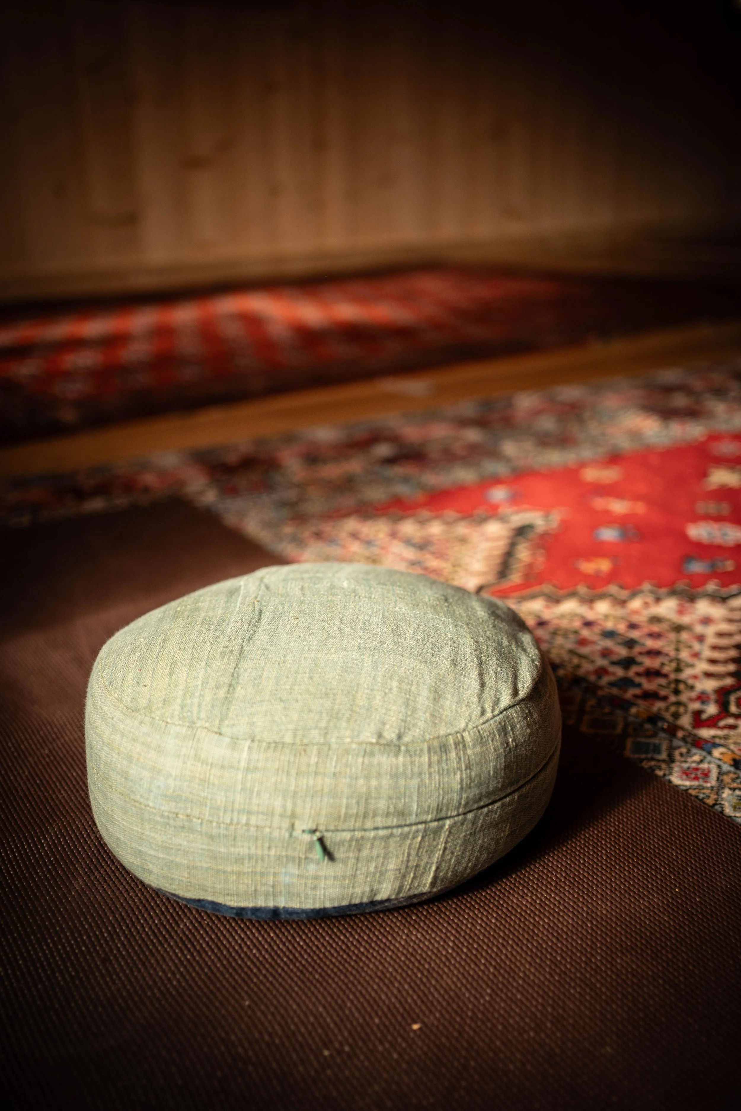 RACINE retraite écriture, arts, écriture sensible, cercle de parole nature, plantes médicinales d’automne, lignée et racines, retraite créativité, retraite nourriture âme, retraite restauration Camille Pelloux