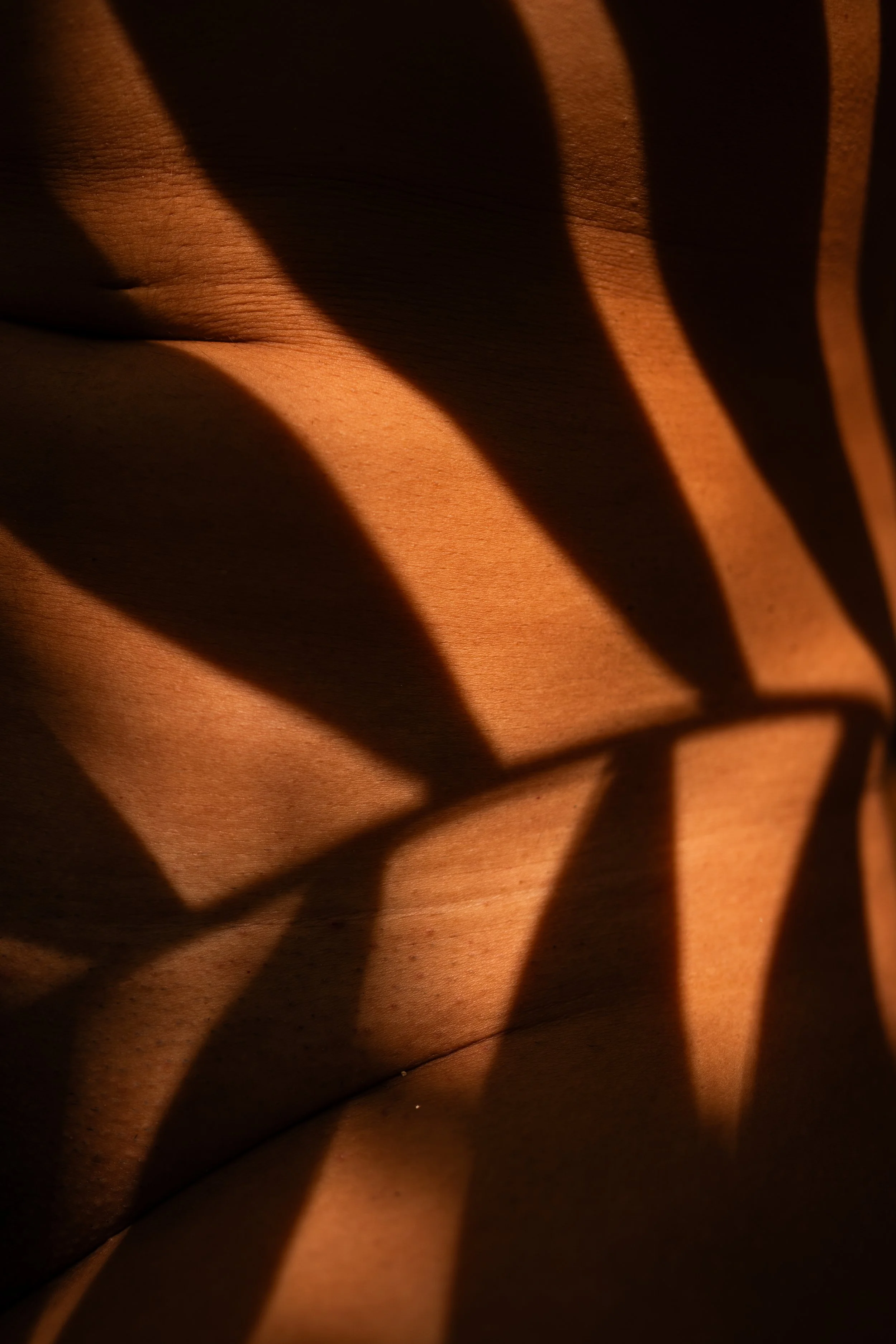 Camille Pelloux - Adriana-53.jpg