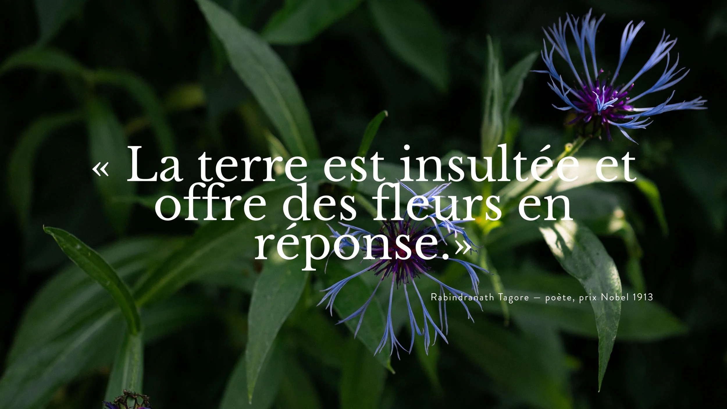 Une fleur bleue et violette sur un fond de feuilles vertes avec la citation de Rabindranath Tagore en français.»