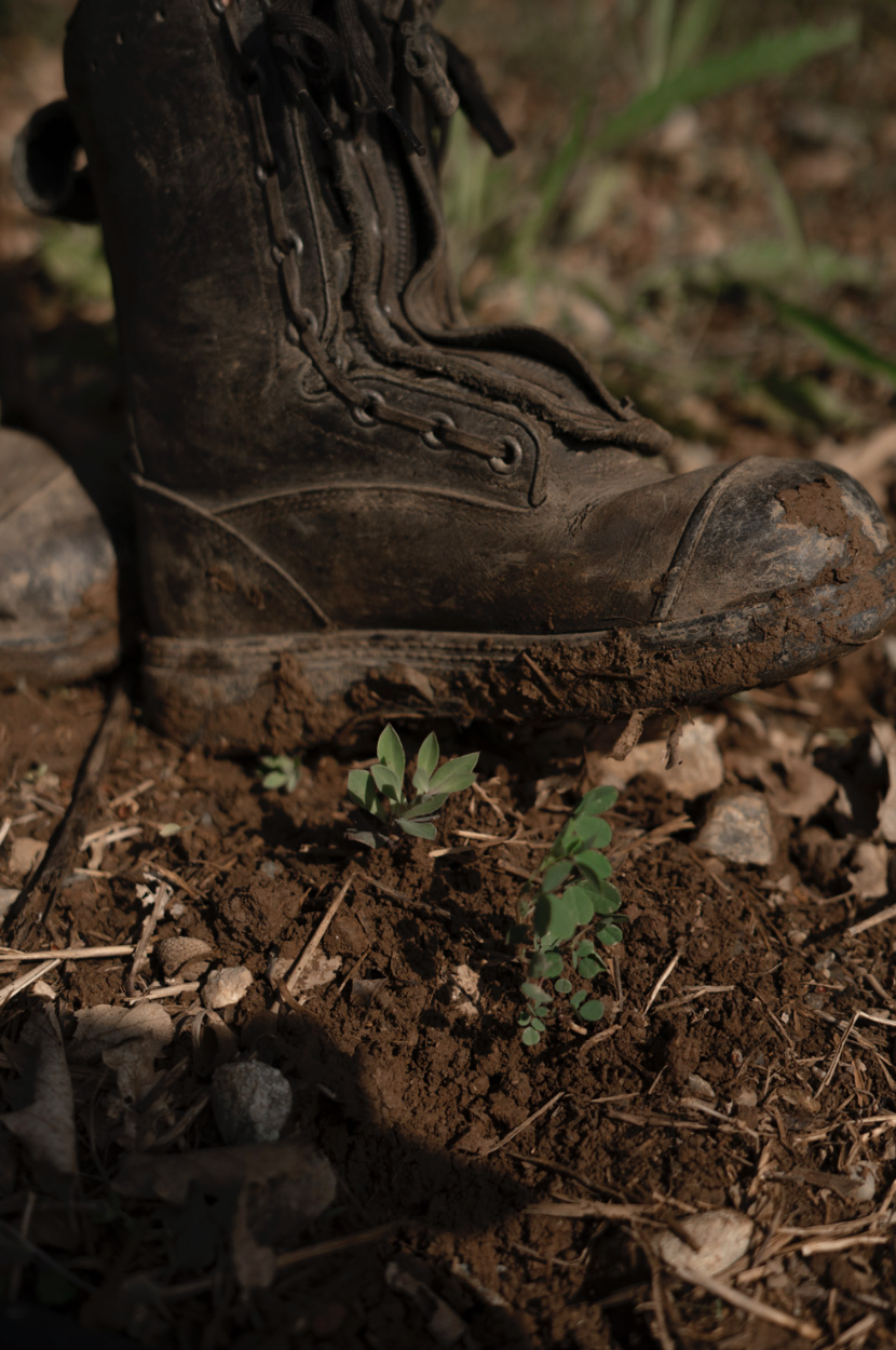 Captura de pantalla 2026-03-16 a la(s) 19.11.34.png