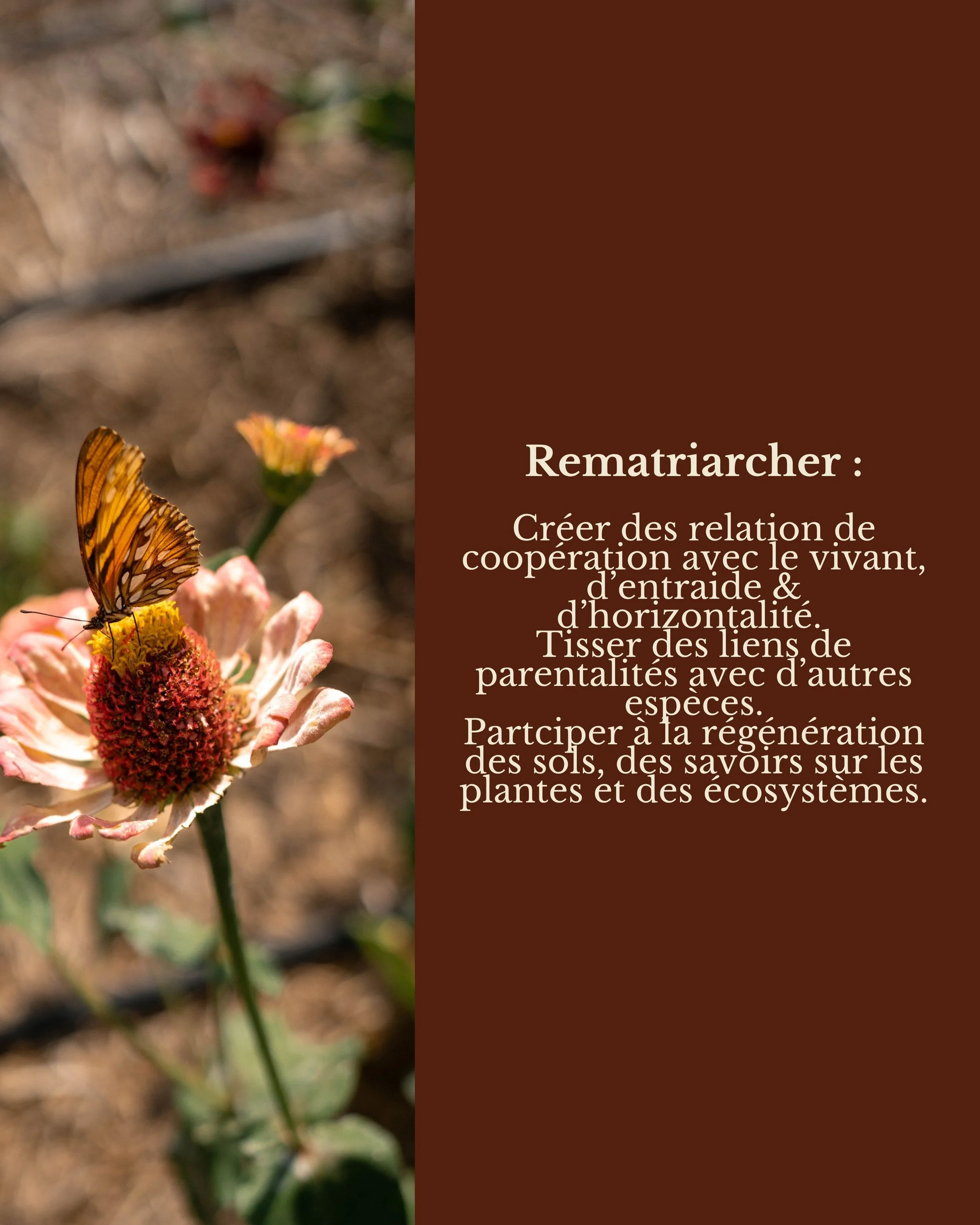 Big Text Page (5).jpg