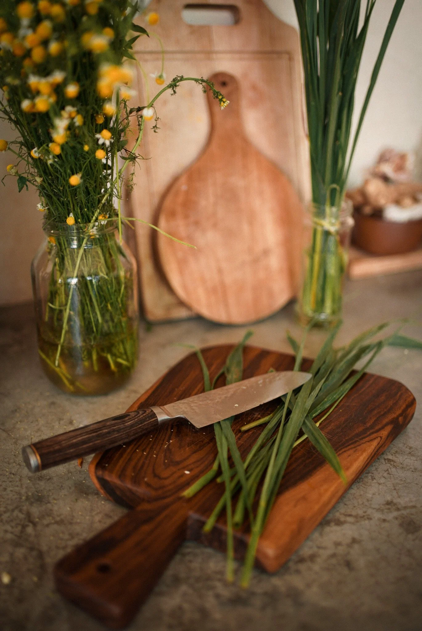 Camille Pelloux session 1:1 Accompagnement Consultation plantes médicinales, alimentation bienfaisante, art de vivre naturel, santé par les plantes, herboristerie naturelle