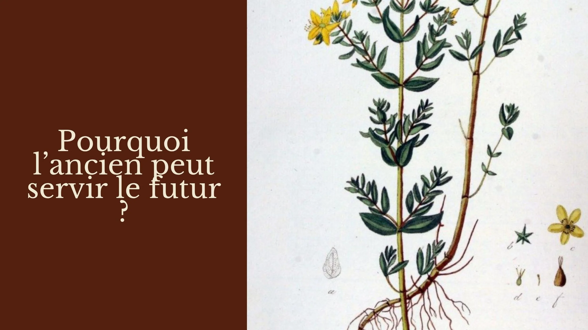 Cover Page (4).jpg