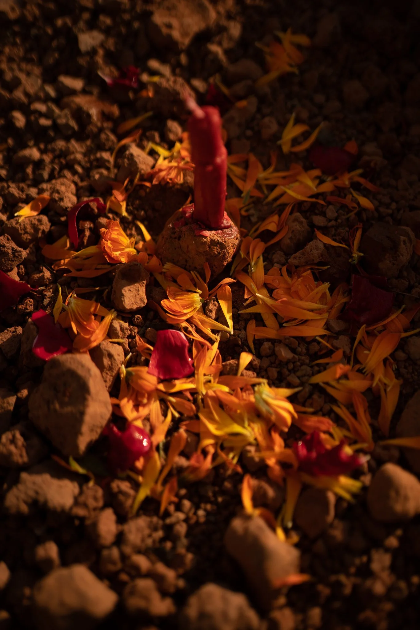 Une bougie allumée entourée de petals de fleurs jaunes et rouges sur un sol rocheux. Rituel offrande