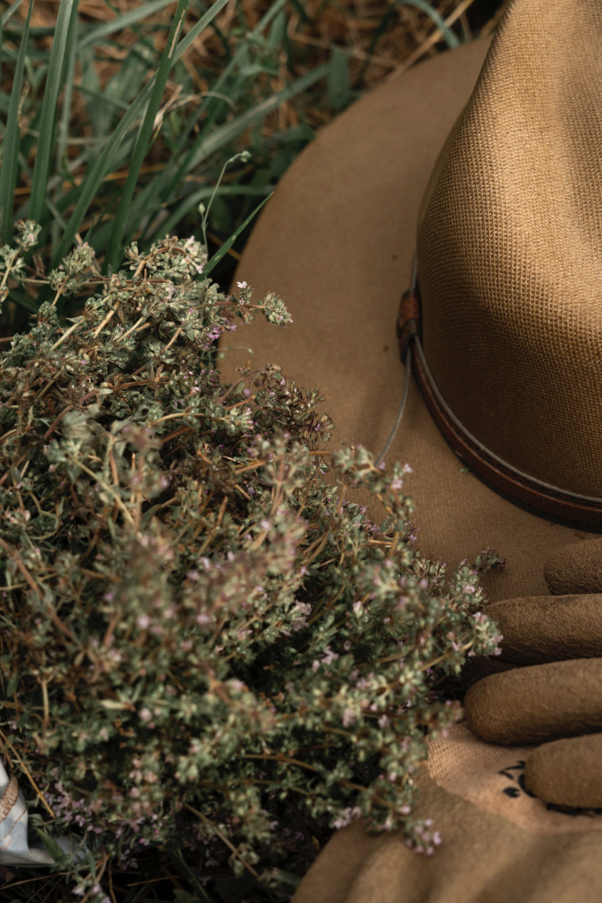 Captura de pantalla 2026-03-16 a la(s) 19.15.39.png