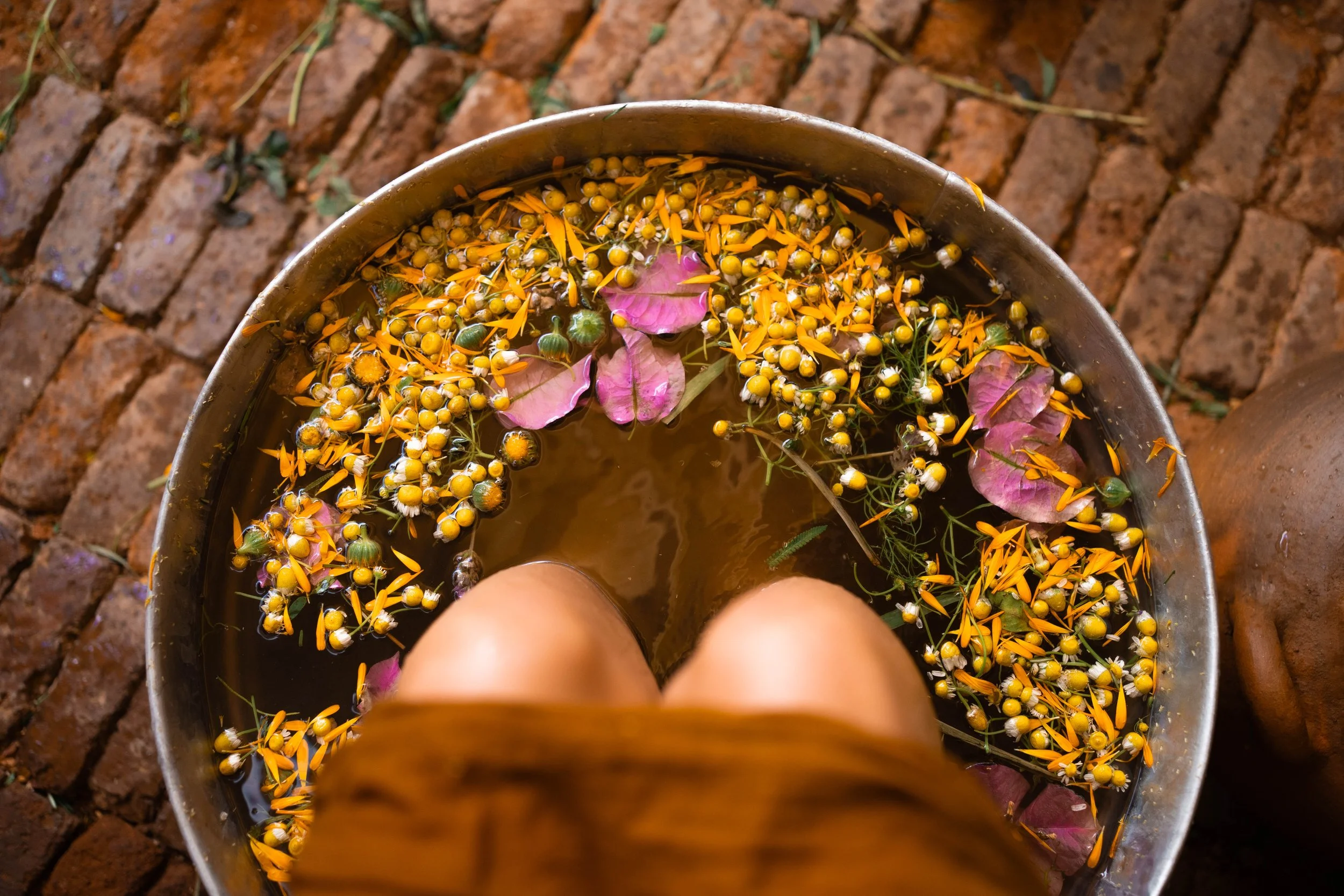 Camille Pelloux pieds nus dans un bain rituel de fleurs et plantes.