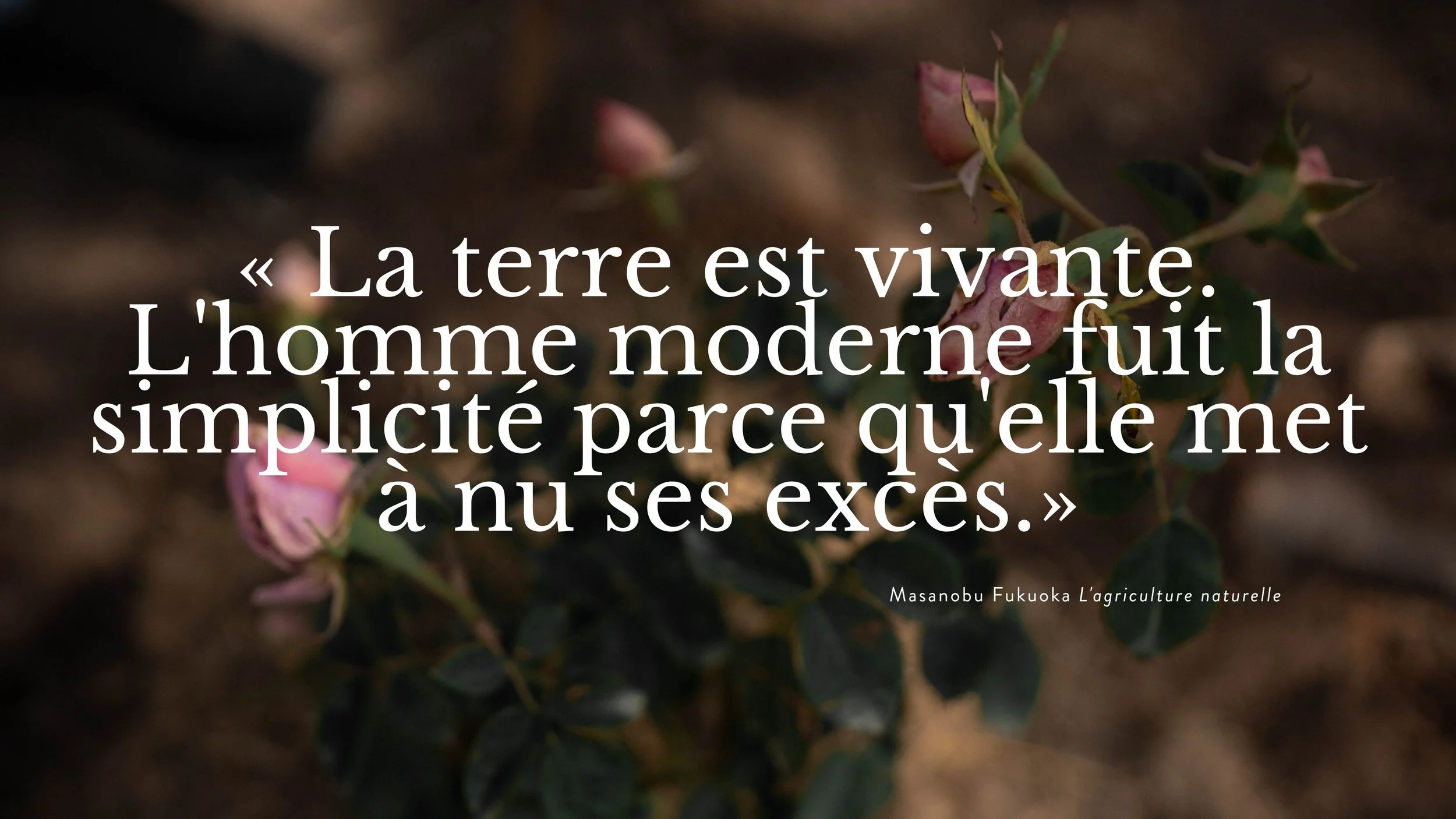 Une citation en français sur le thème de la terre et de l'homme, superposée à une photo floue de petites fleurs ou bourgeons dans la terre.