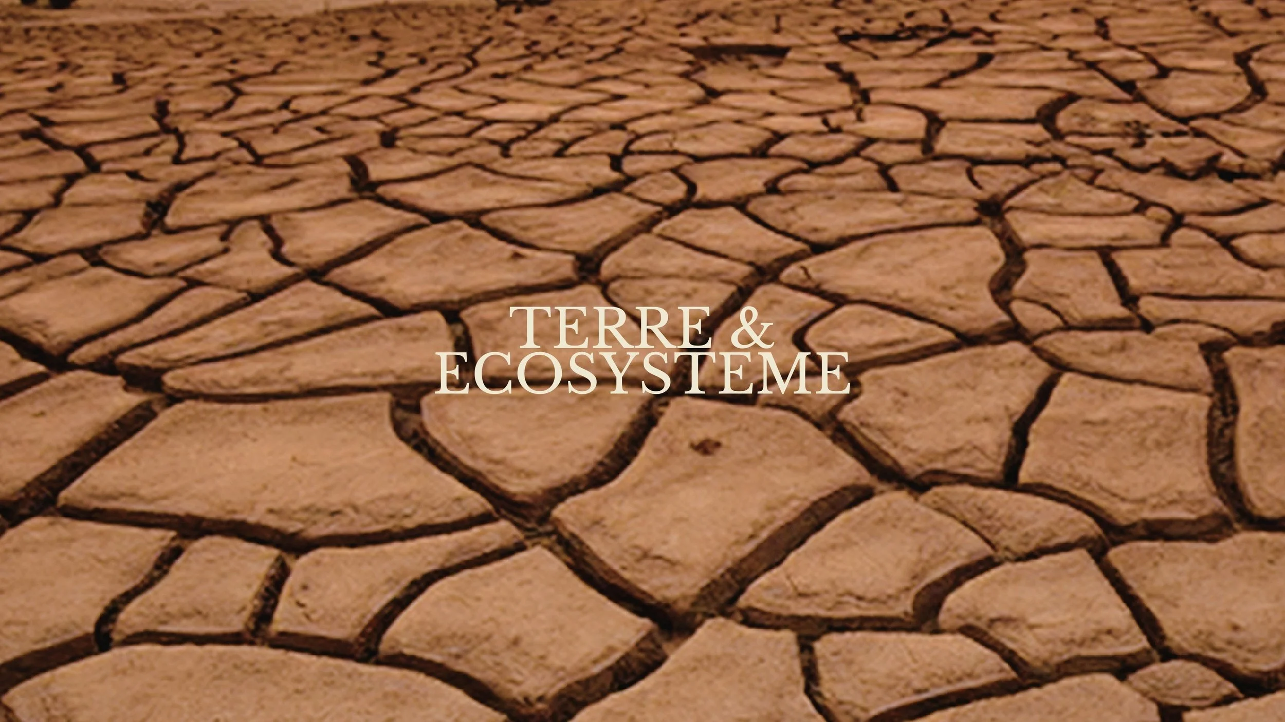 Sol aride avec des fissures, indiquant une sécheresse extrême ou un climat désertique.