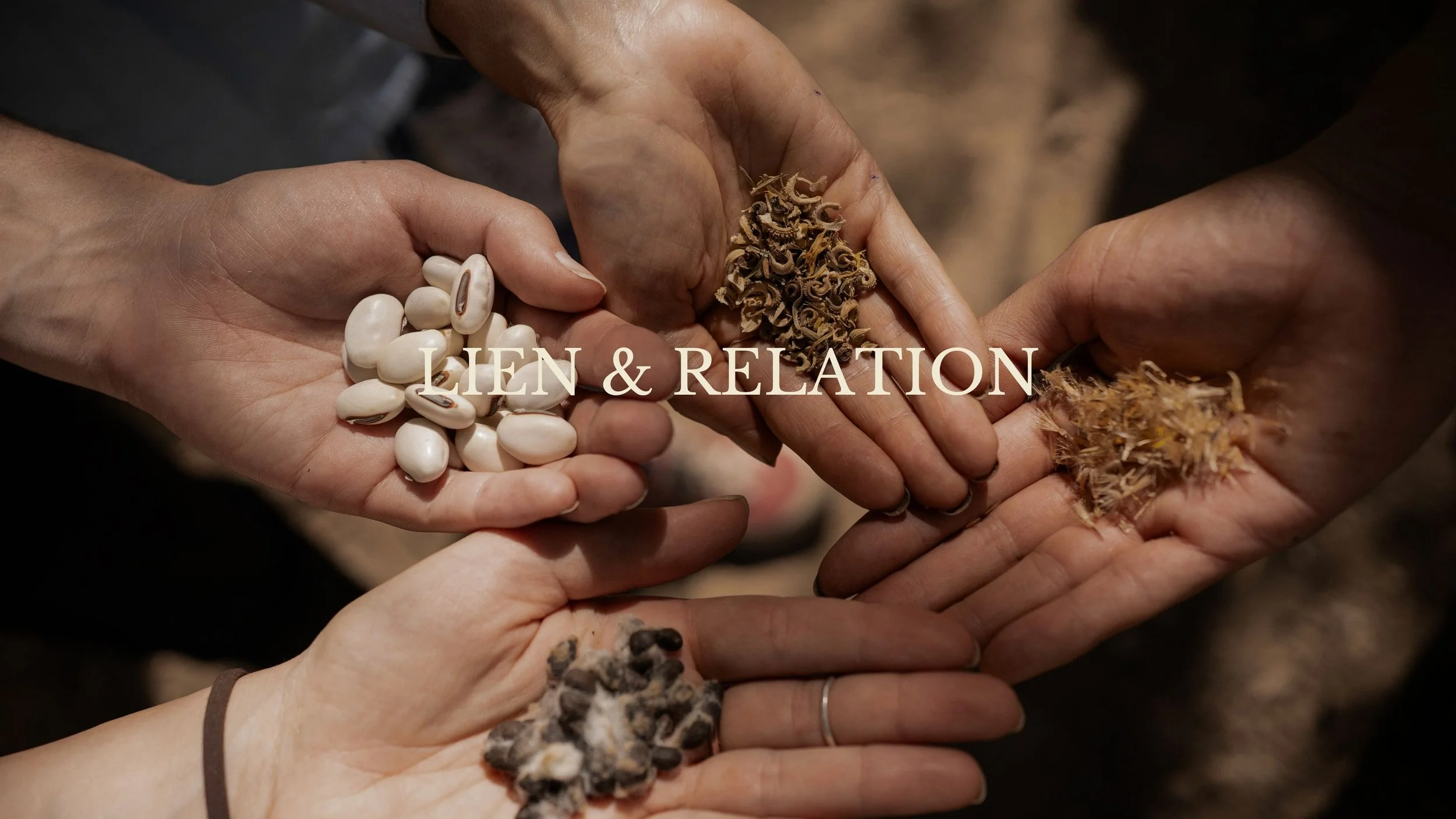 Mains de plusieurs personnes tenant des haricots blancs, des épices séchées et d'autres ingrédients naturels. Le texte "LIEN & RELATION" est superposé sur l'image.