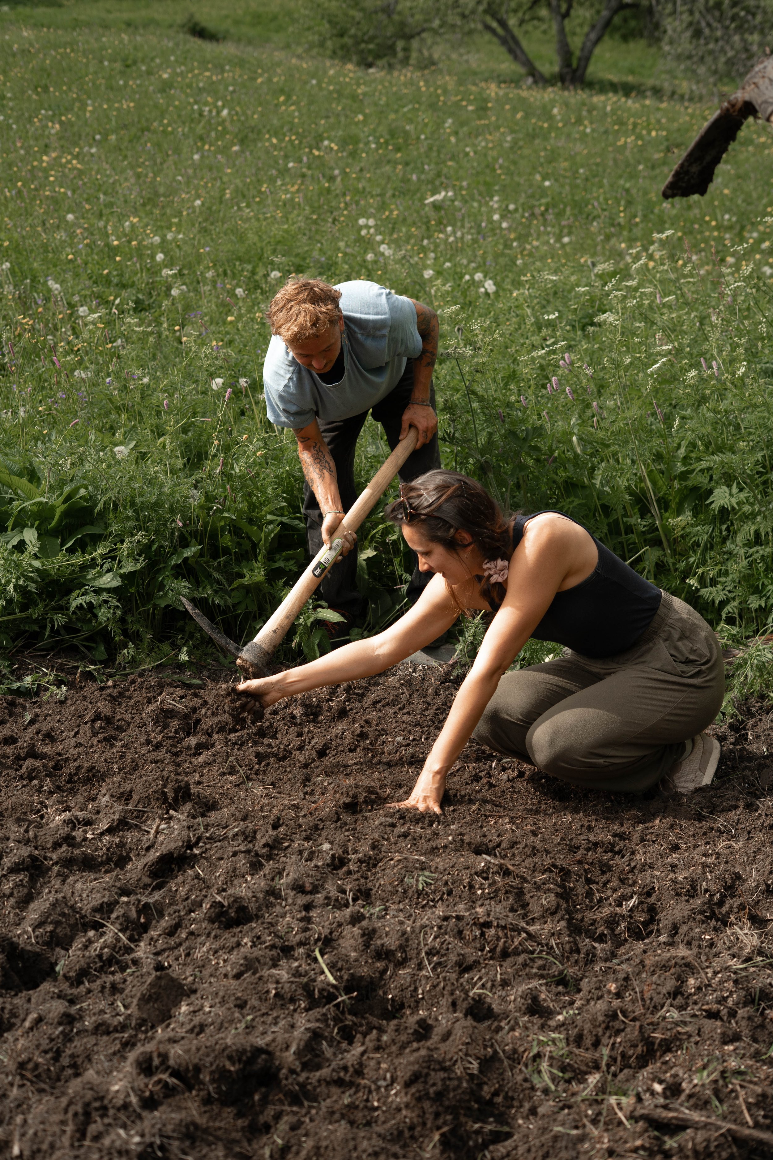Camille Pelloux, Nat Muguet, stage syntropie plantes médicinales, stage agroécologie plantes médicinales, formation culture de plantes médicinales, agroforesterie, agriculture régénérative, agriculture syntropique, jardin en syntropie, culture de pla