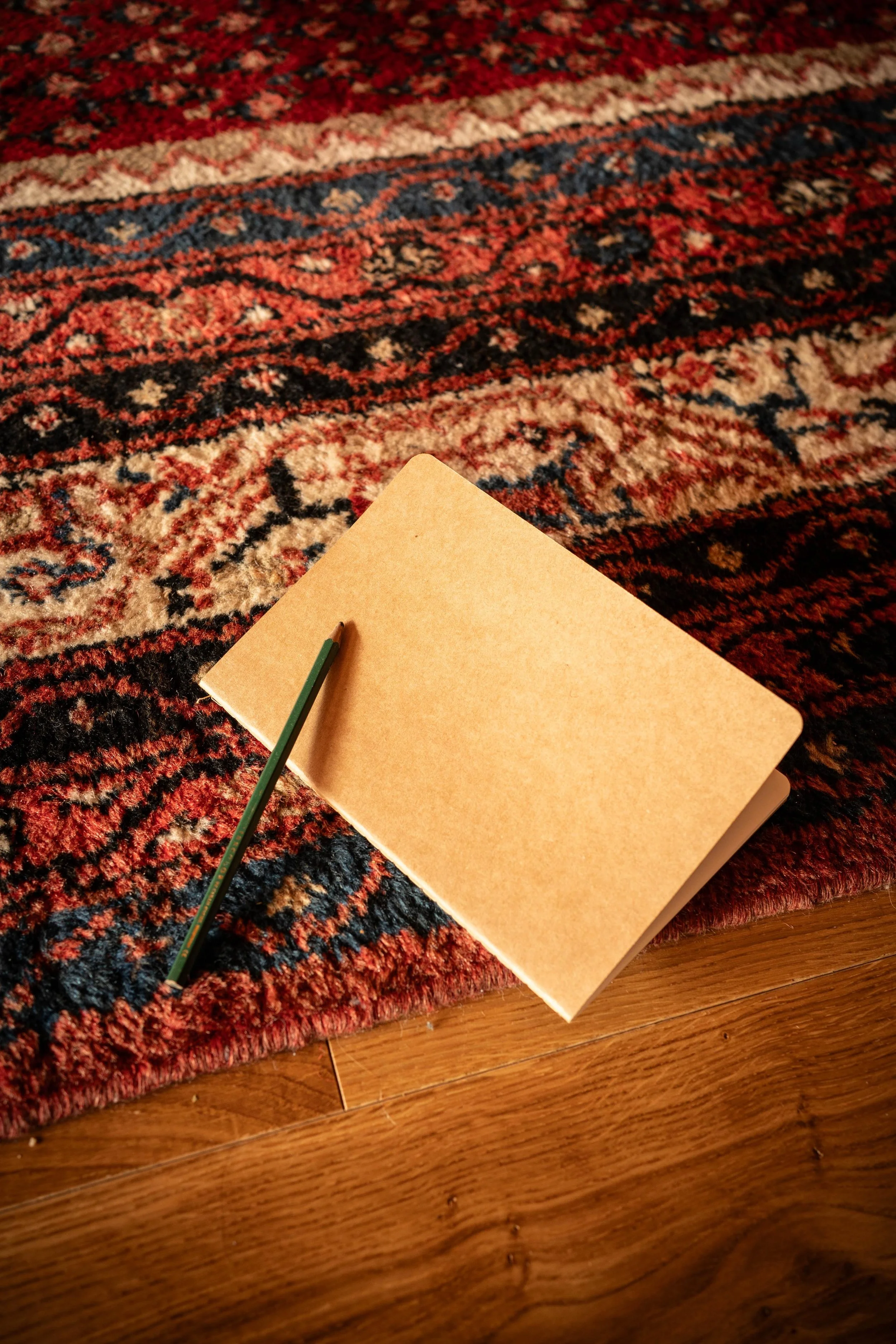 retraite écriture nature, écriture sensible, cercle de parole nature, plantes médicinales d’automne, lignée et racines, retraite créativité nature, Camille Pelloux