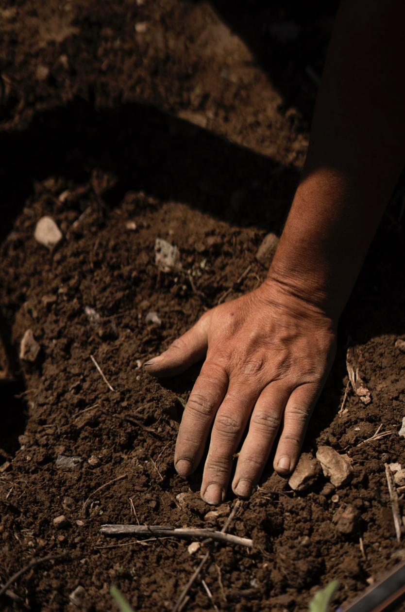 Captura de pantalla 2026-03-16 a la(s) 19.13.34.png