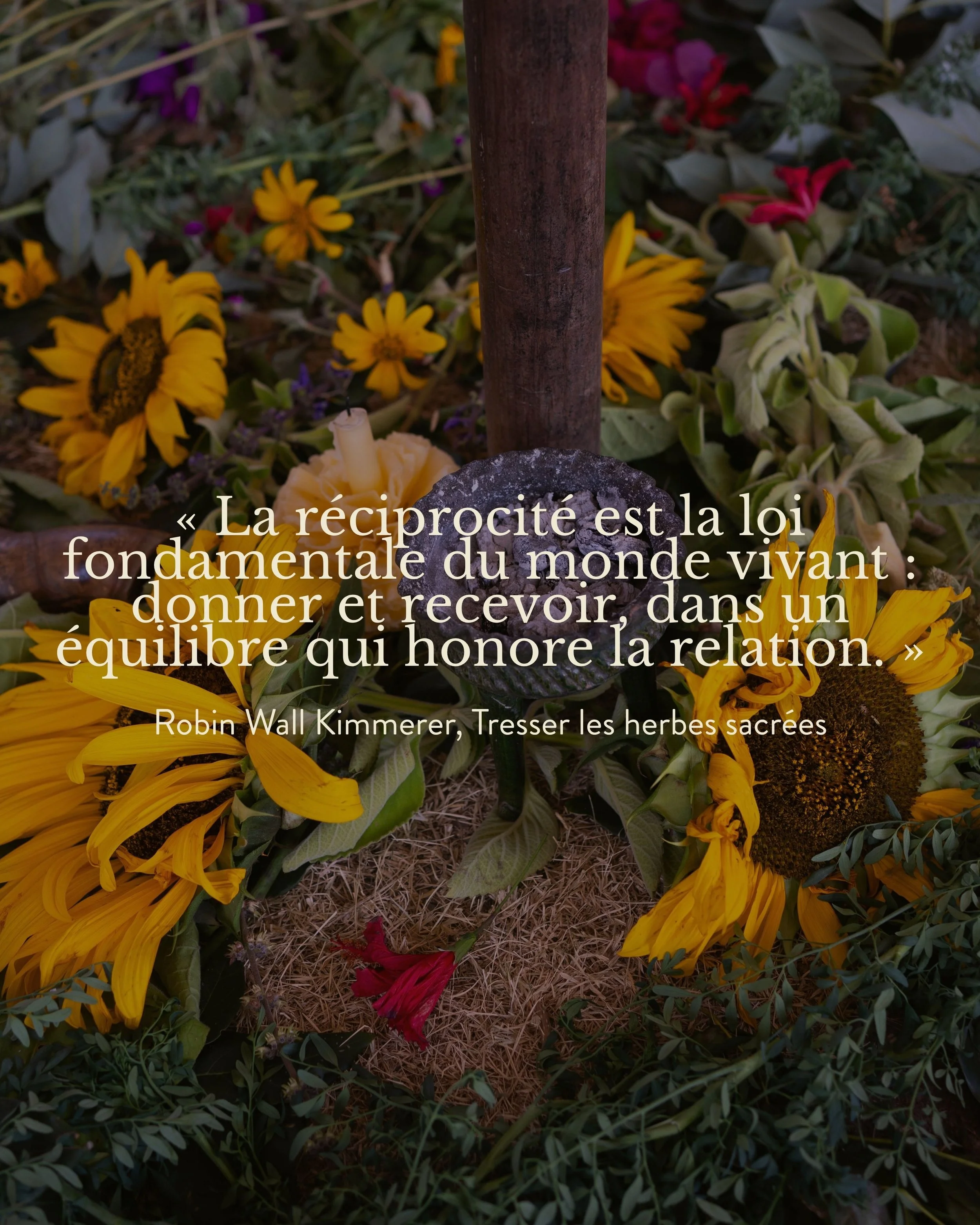 Big Text Page (6).jpg