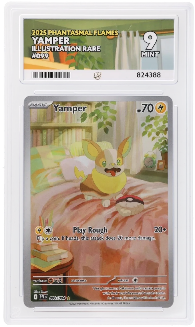 Yamper - Illustration Rare