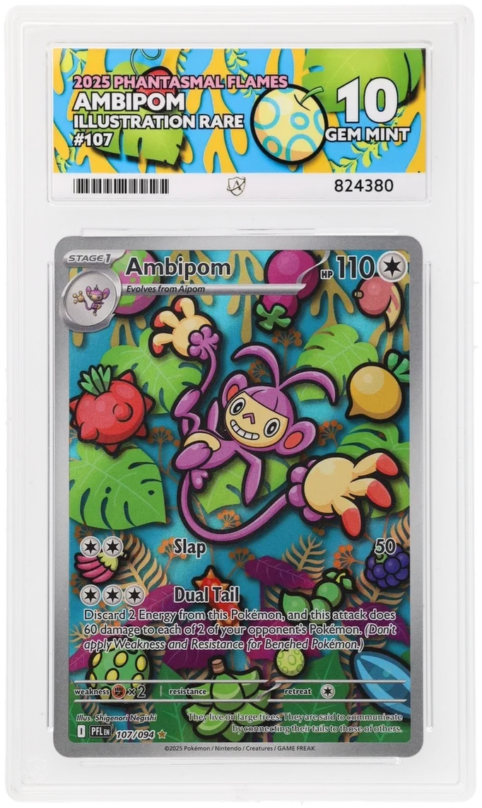 Ambipom - Illustration Rare