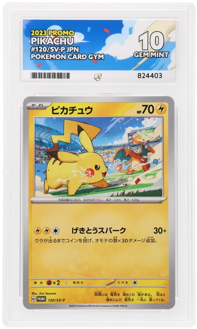 Pikachu - Pokémon Card Gym
