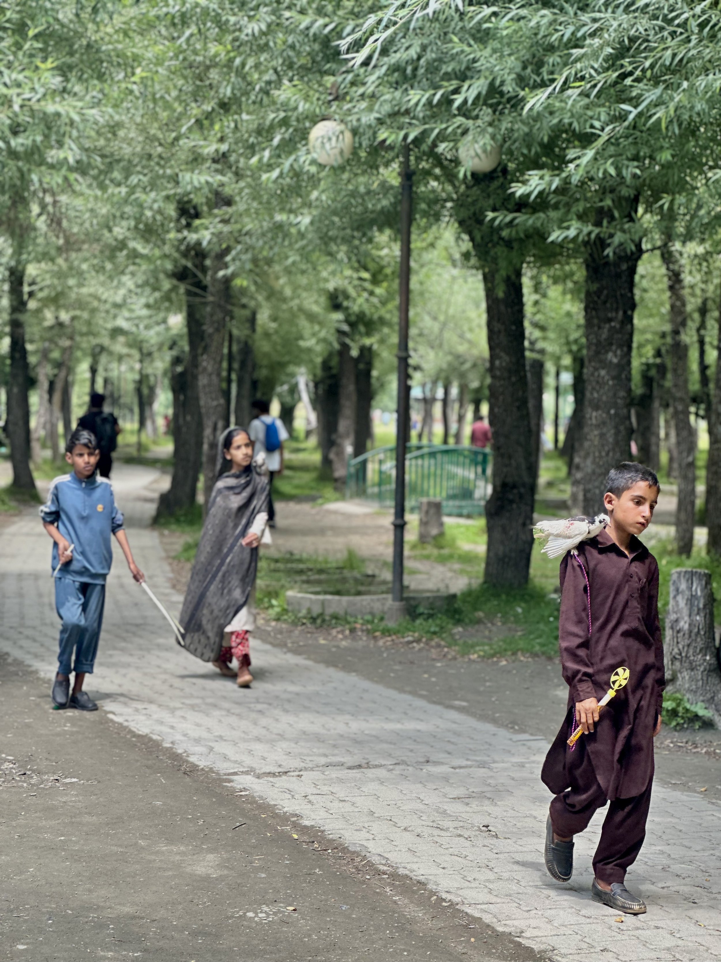 IMG_9823_Original (1).jpg