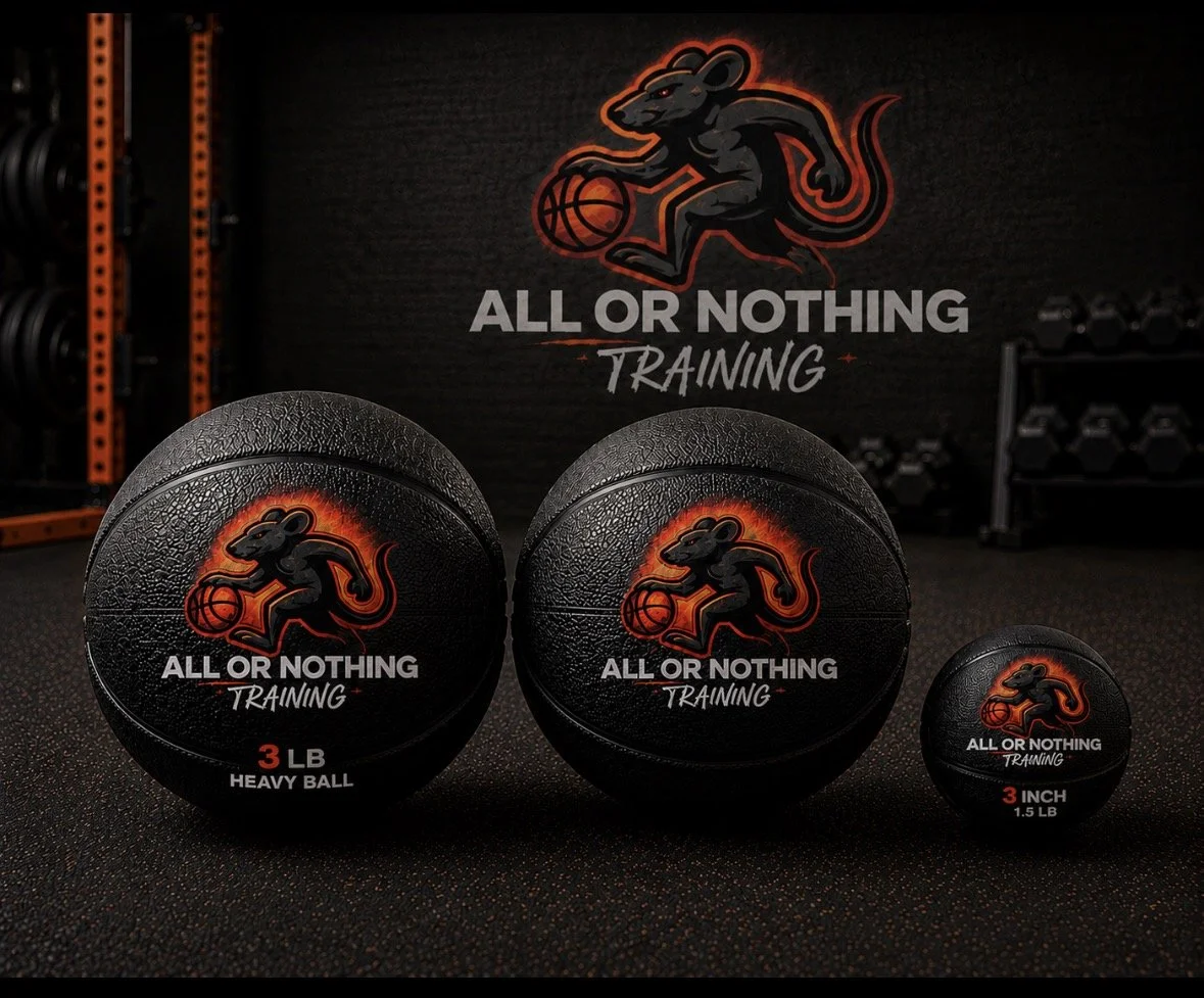ALL OR NOTHIN Weighted Basketball Training Balls