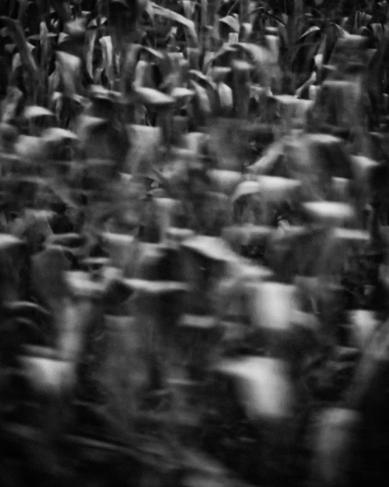 Screenshot 2026-01-30 at 12.12.22 PM-2.jpg