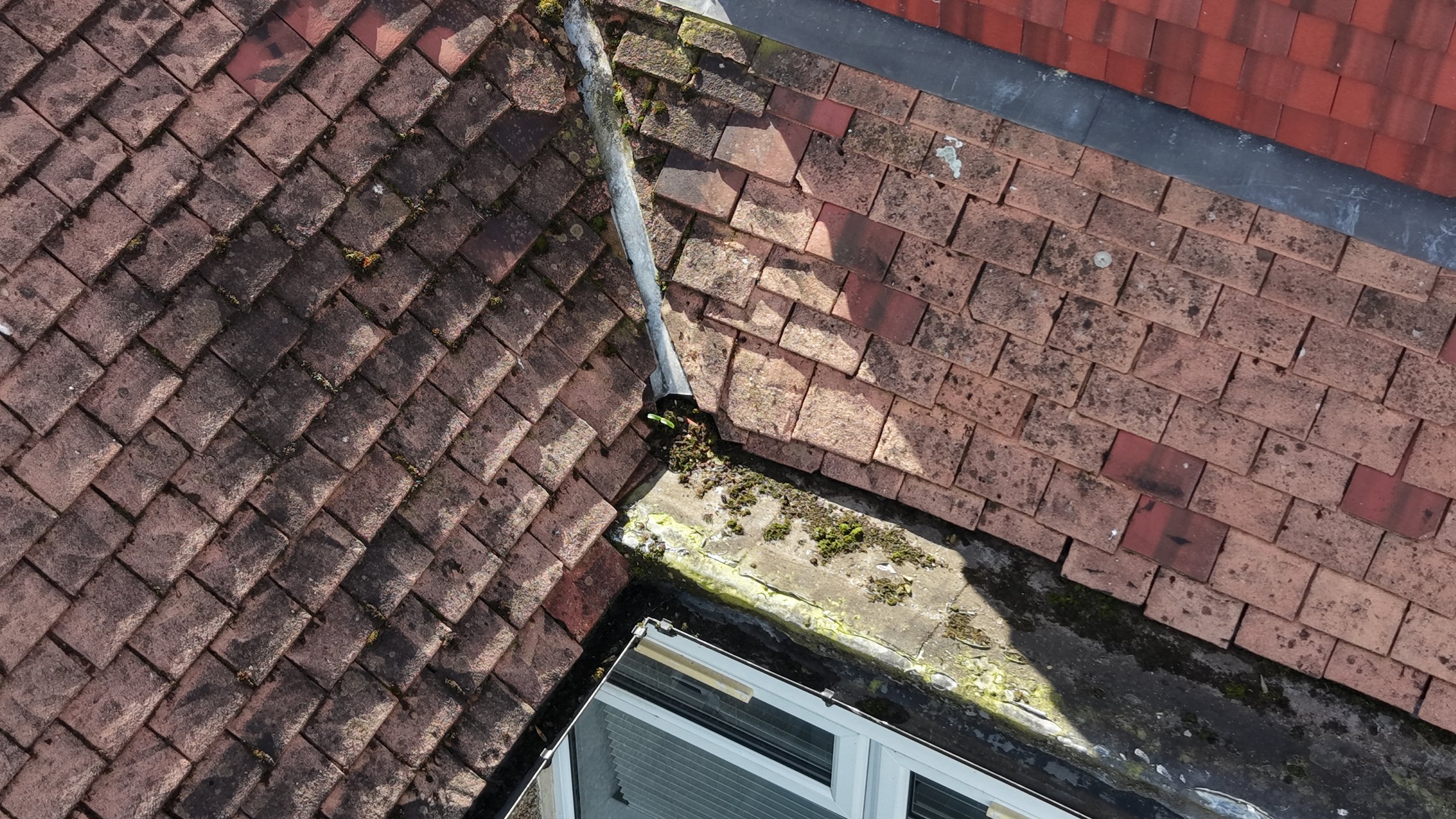 dji_fly_20260314_112050_0087_1773487968884_photo.jpeg