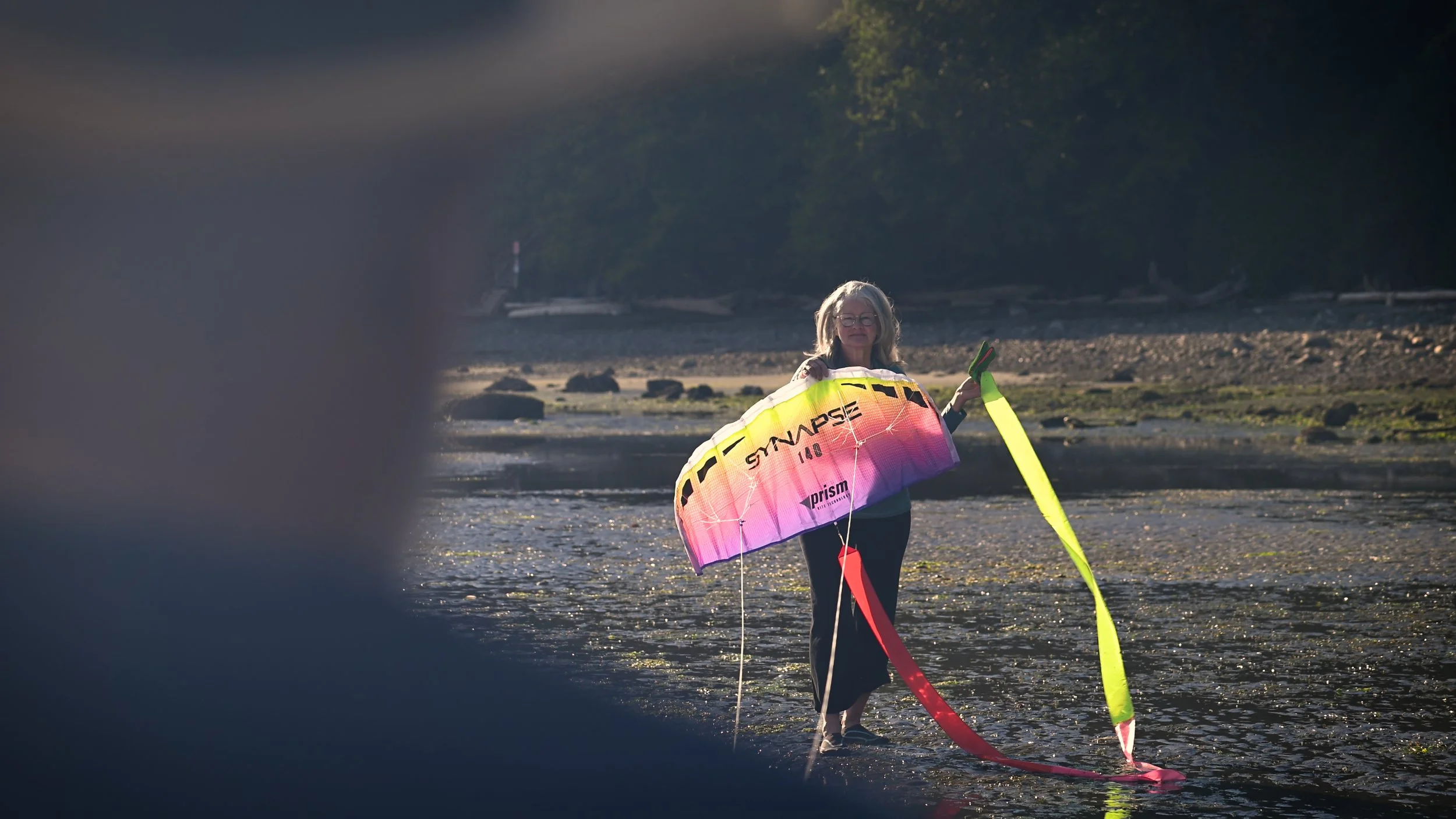 Woman holding a kite on the beach