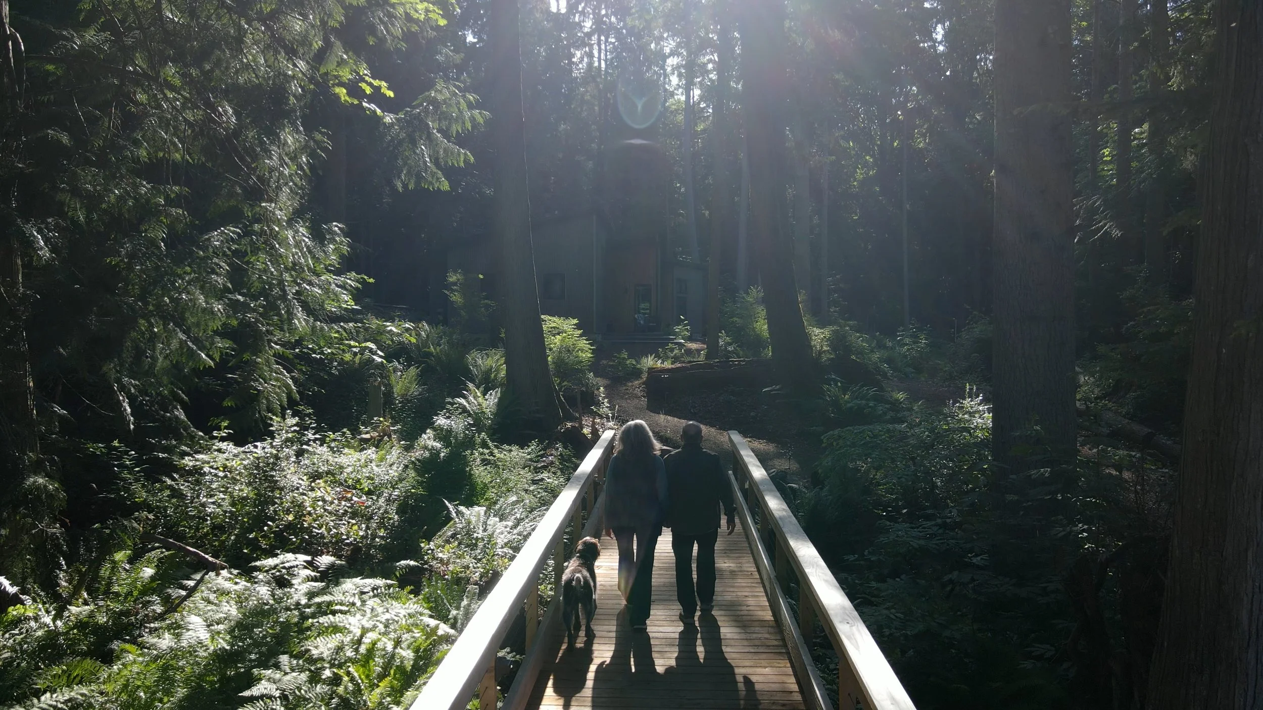 a couple walking over a bridge in the forest