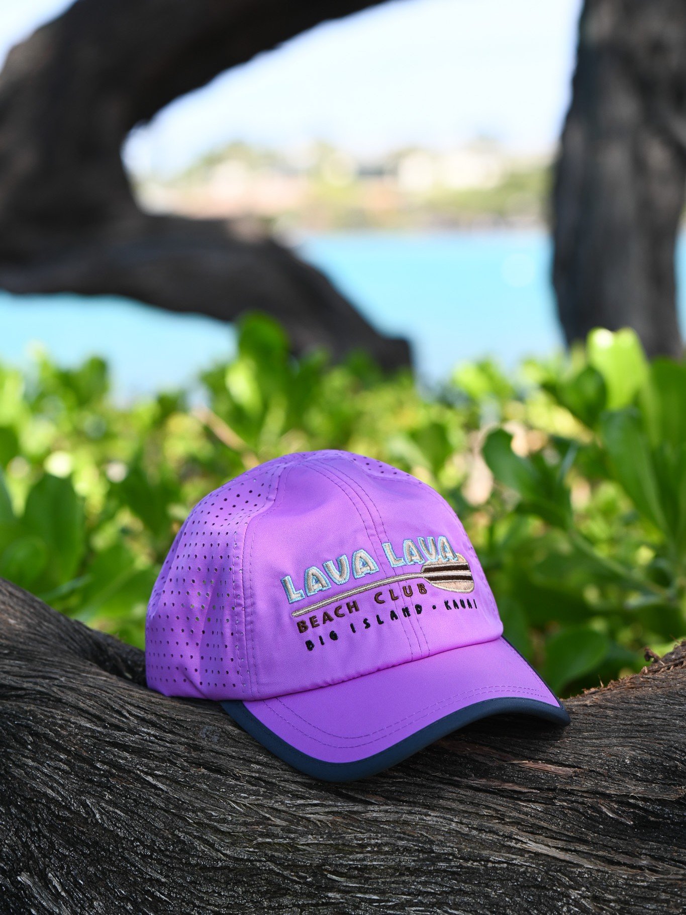 Purple Runner Hat