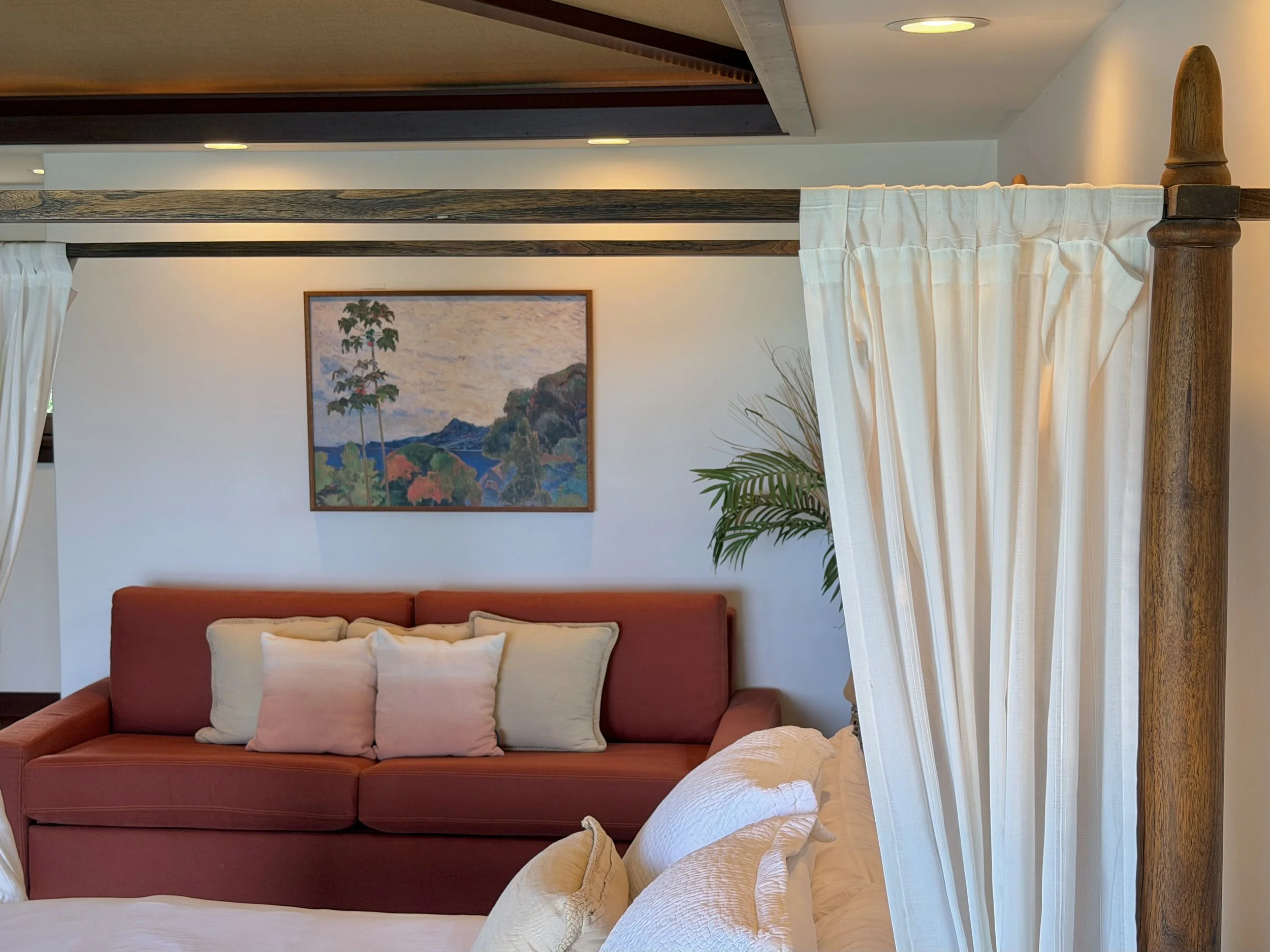 California King & Sleeper Sofa