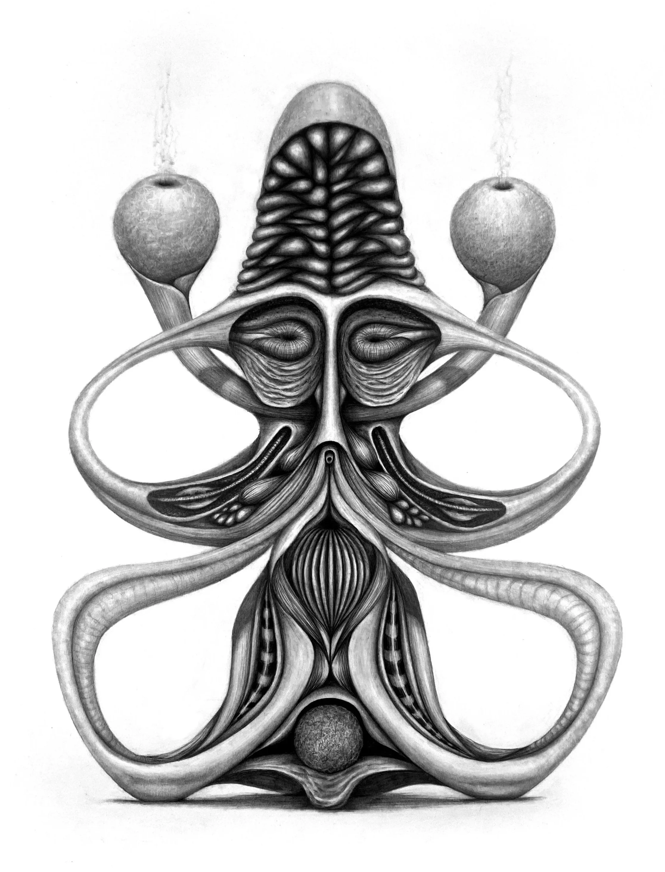 A detailed black and white drawing of an anatomical structure, featuring symmetrical organic shapes, flowing lines, and rounded forms, resembling a creative interpretation of biological or cosmic elements.