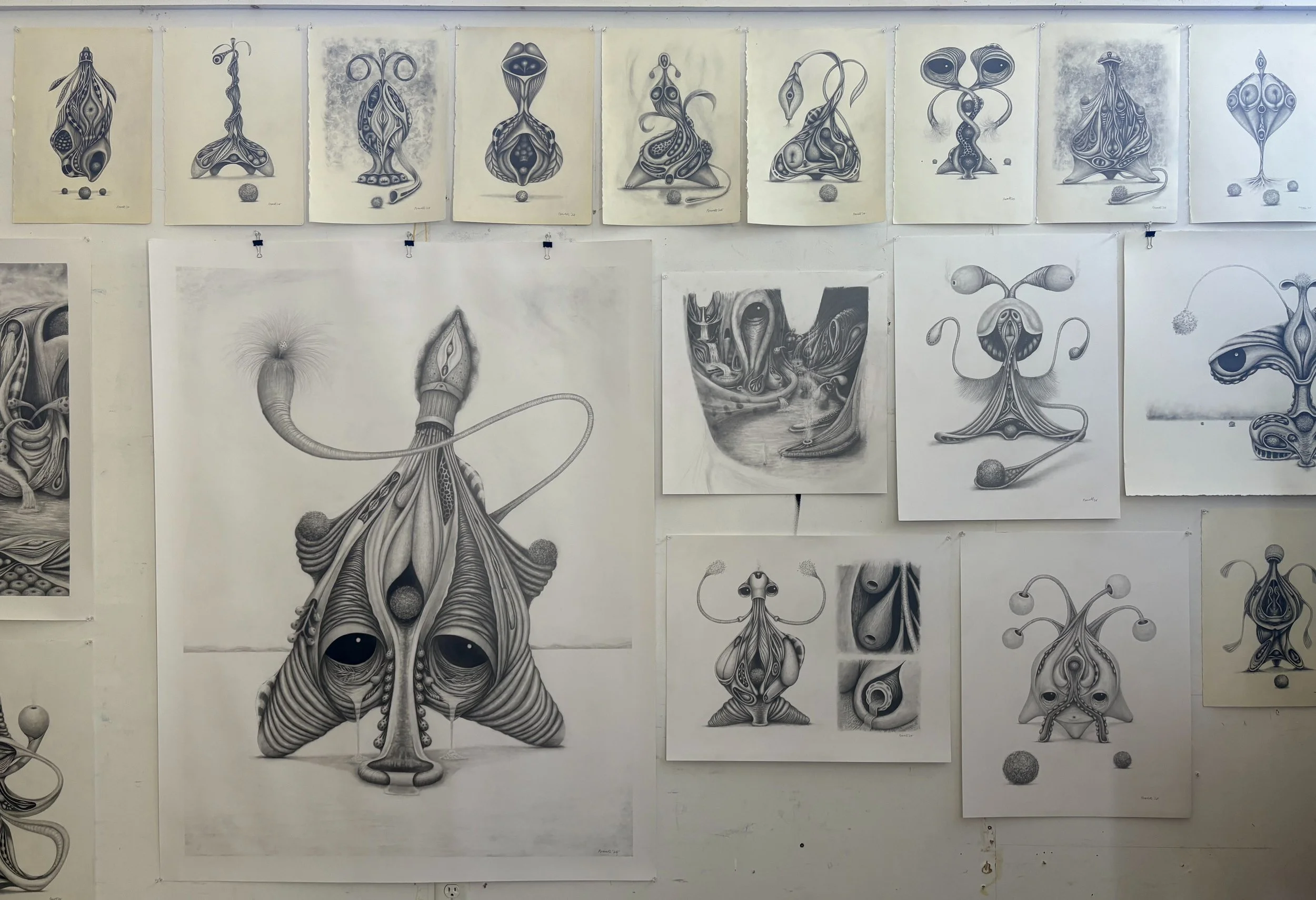 A wall decorated with multiple black and white abstract art drawings of creatures with unusual shapes and intricate details.