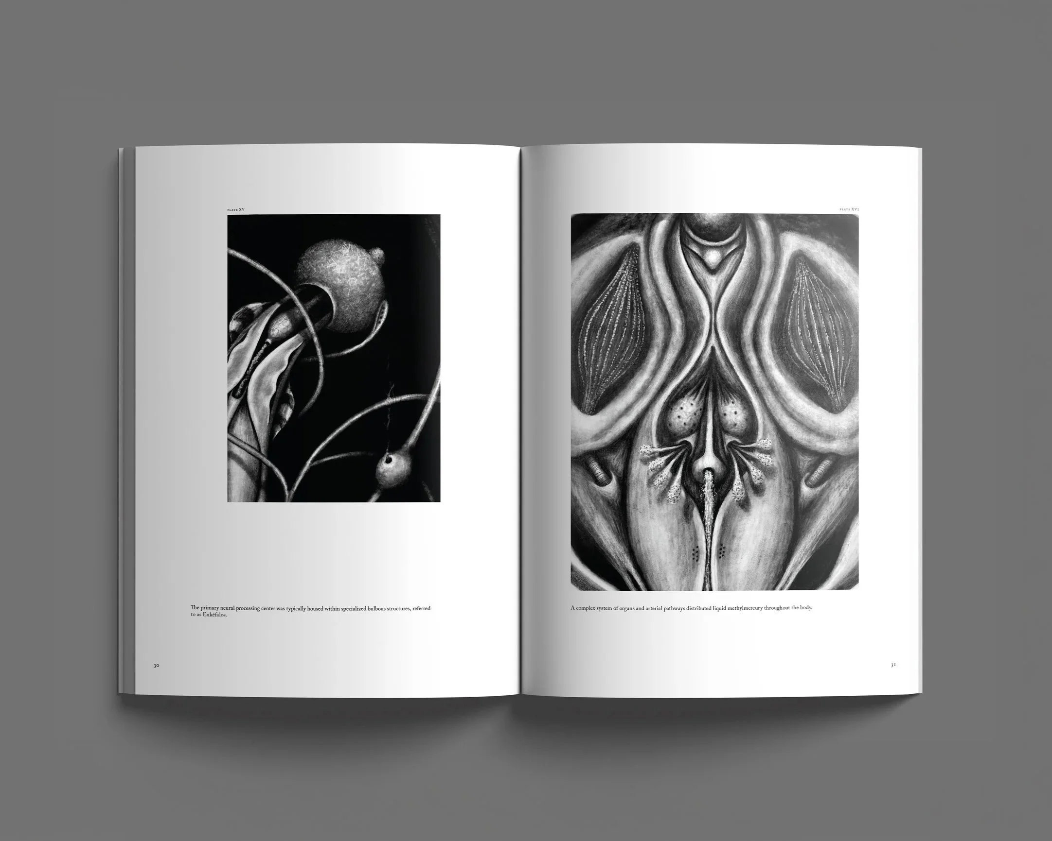 Open book displaying black and white scientific illustrations of biological structures with captions, set against a gray background.