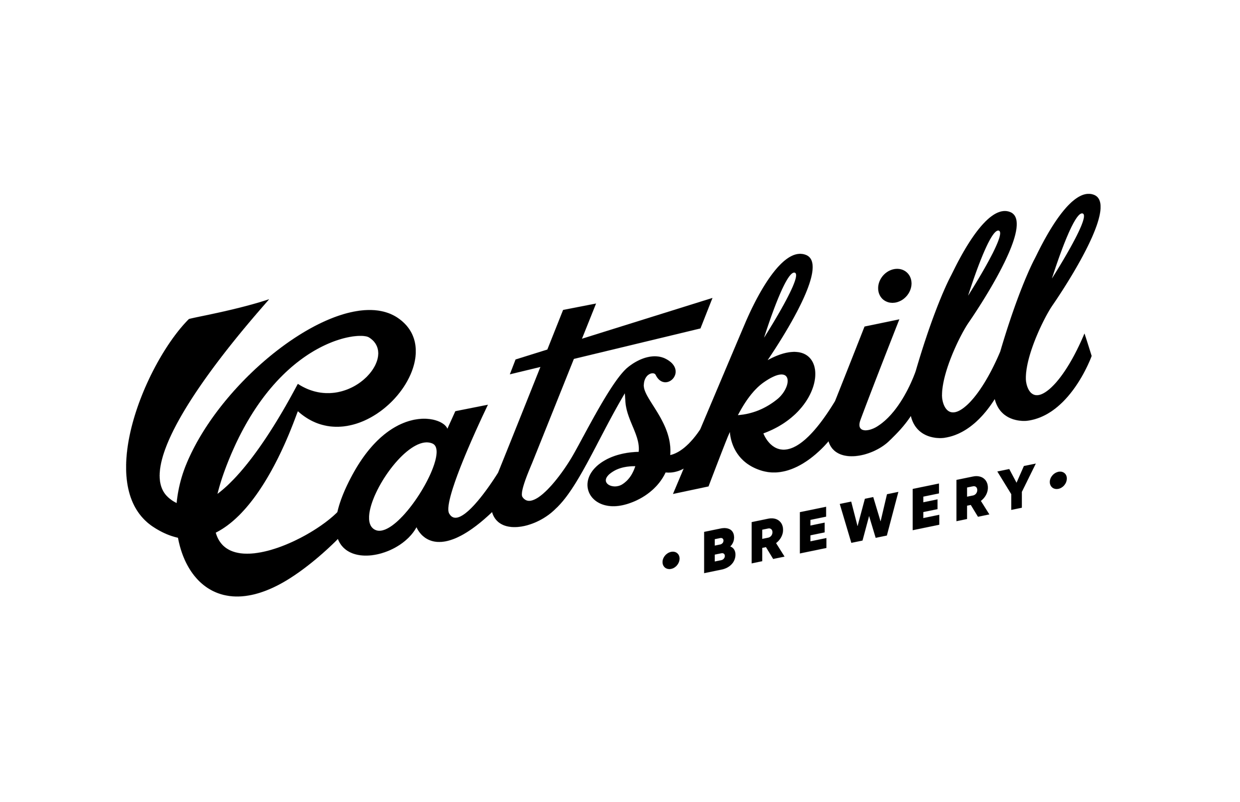Logo for Catskill Brewery, with the text 'Catskill Brewery' in bold, black, cursive font on a white background.