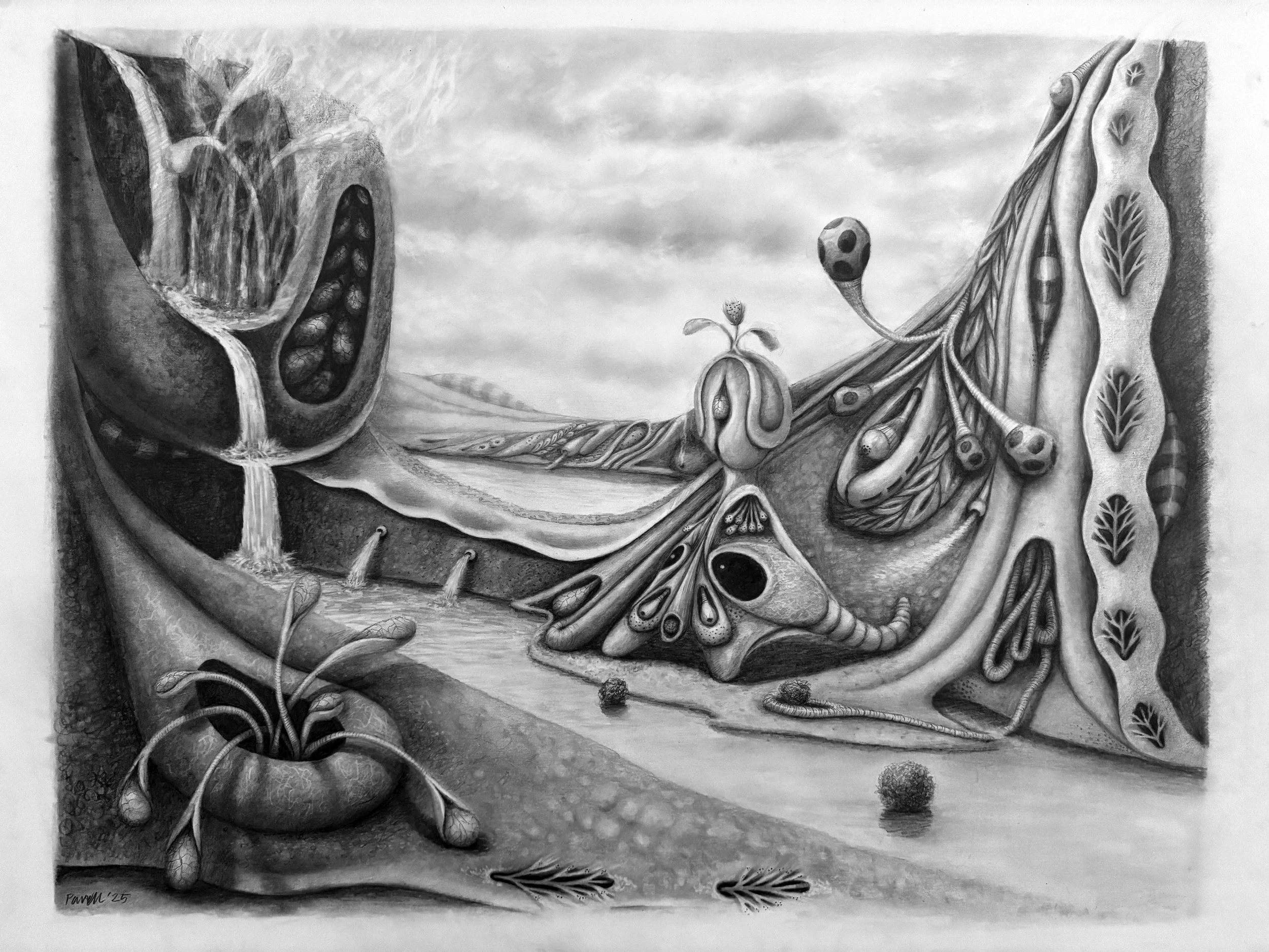 A detailed black and white drawing of a pomegranate with seeds spilling out on the left, and various plant and insect elements intertwined on the right, including butterflies, leaves, and abstract organic shapes.