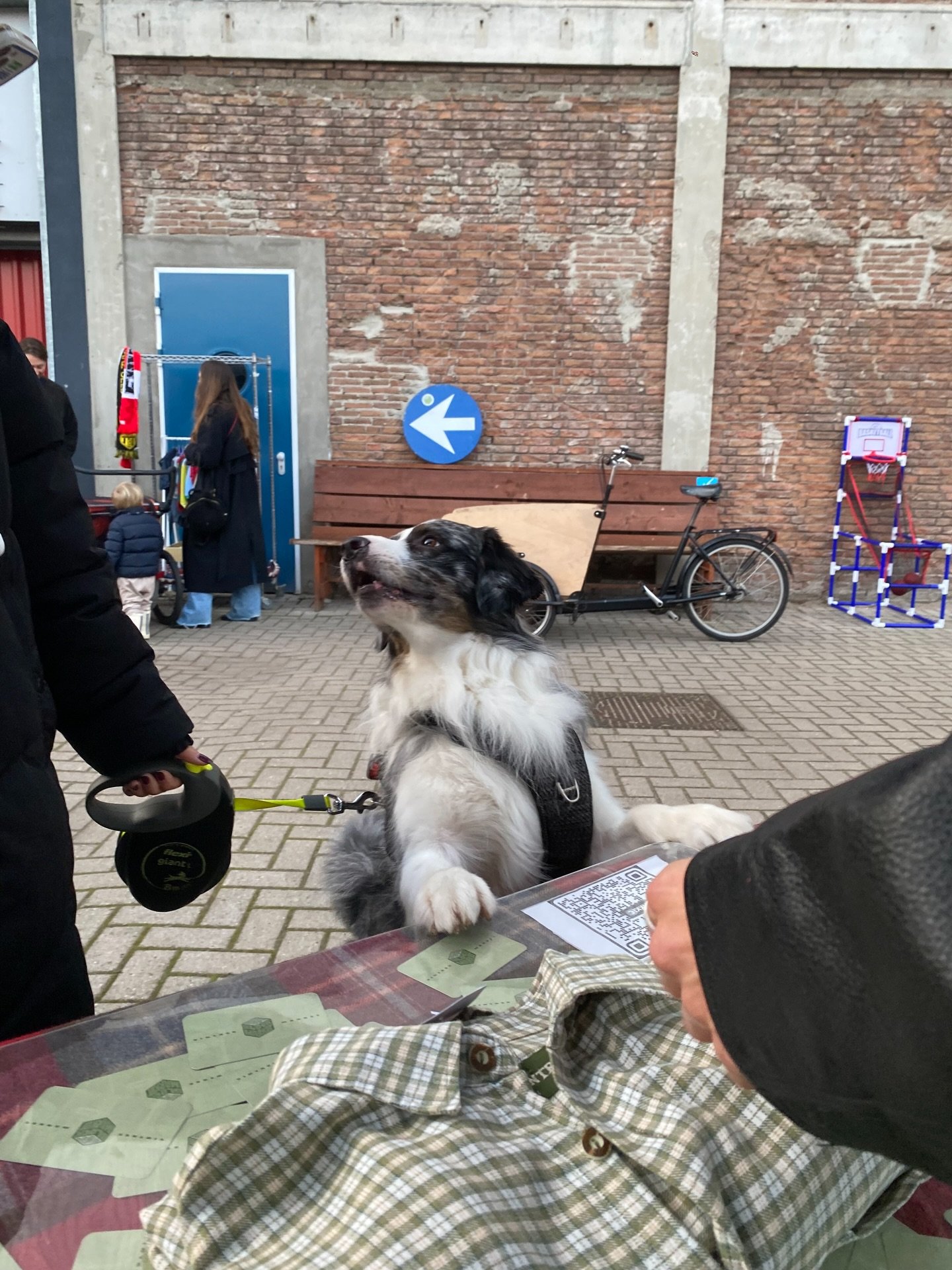 WHO LET THE DOGS OUT! 🎶
 🐶🐕🐩🦮

Wist je dat Dog omgedraaid God is&hellip;?
Nog niet h&eacute;! 

Afgelopen markt hebben jullie massaal jullie viervoeters meegenomen en dat was geweldig. Je weet wat ze zeggen h&eacute;. Hoe meer honden hoe meer vr