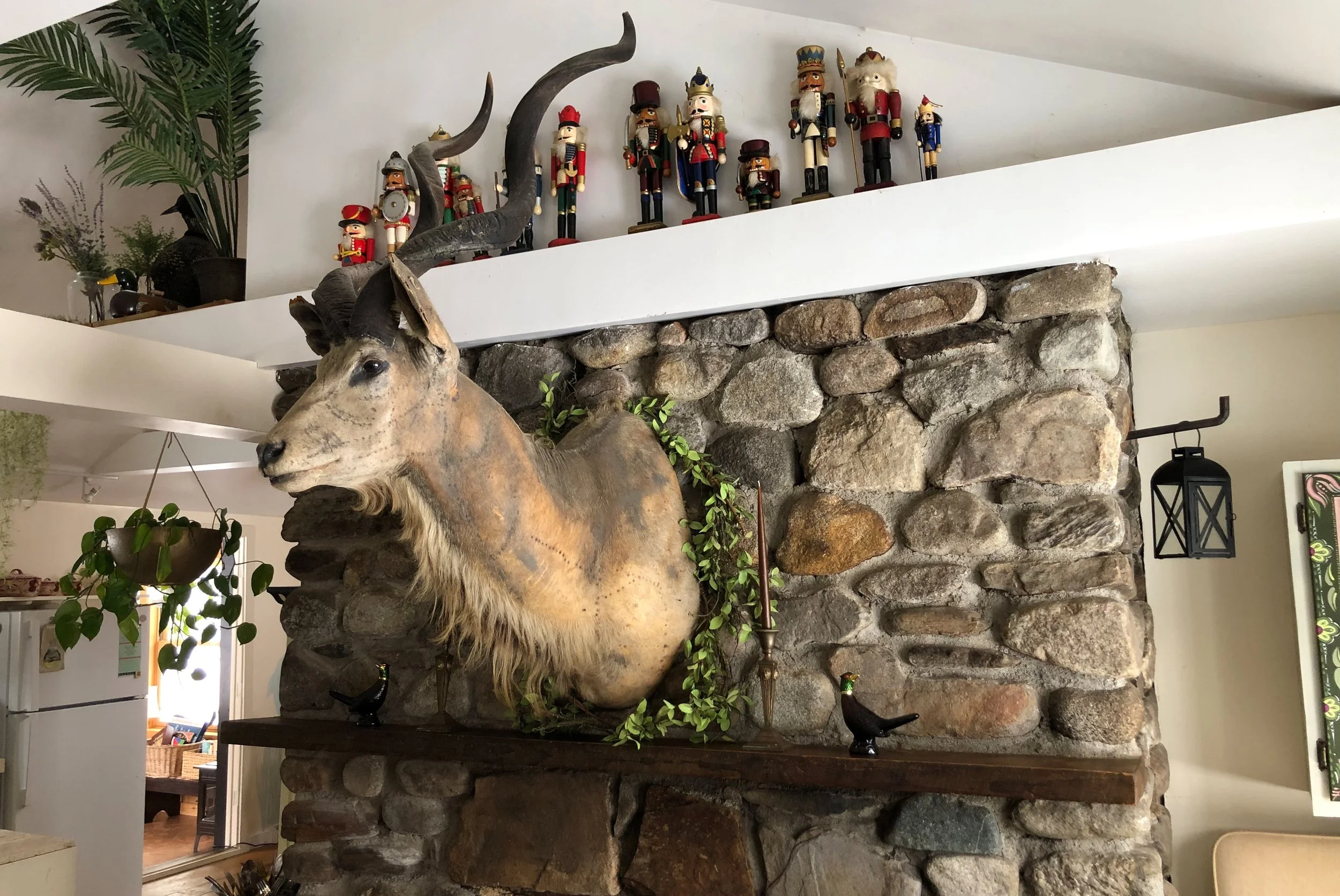 We inherited our resident kudu "Youssou" when we purchased the cottage.  He is a perfect dining companion!