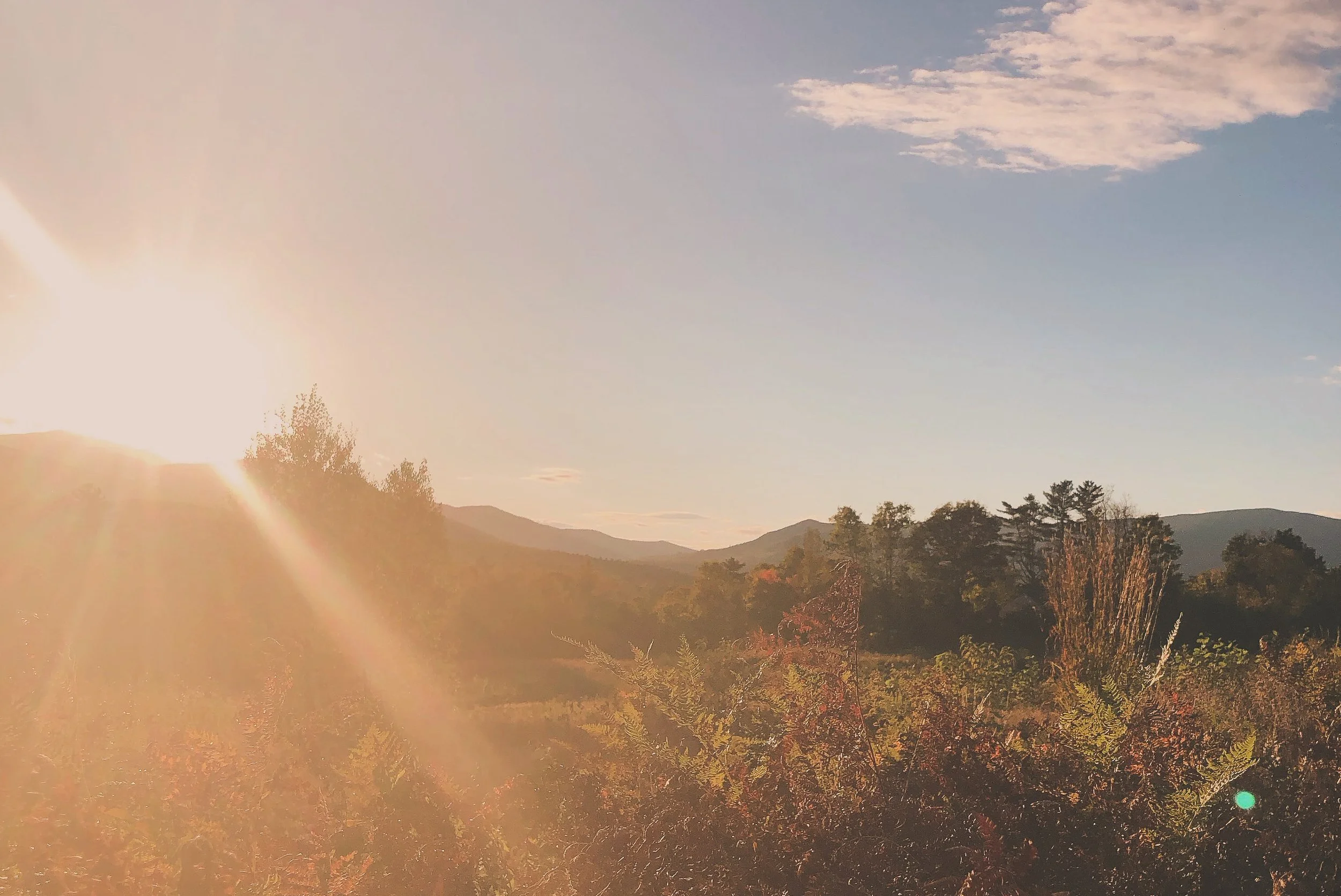 EE4BE3A7-A633-41A9-811E-E2F90C093711 copy.jpg