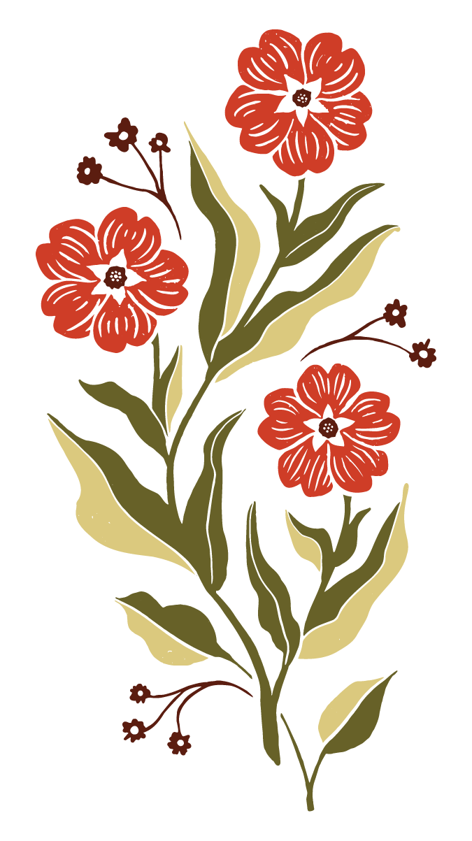 Illustration of red flowers with dark centers, green leaves, and small buds on a black background.