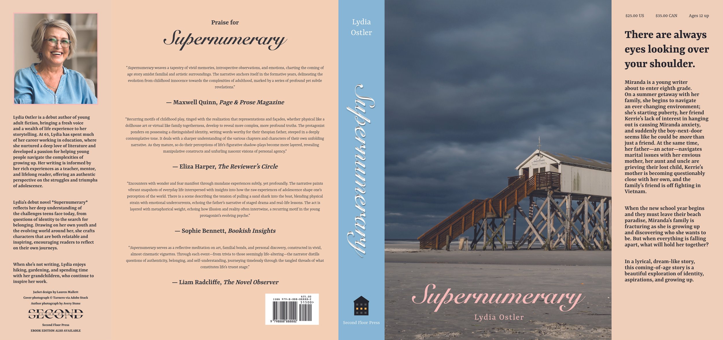 cover1mock1.jpg
