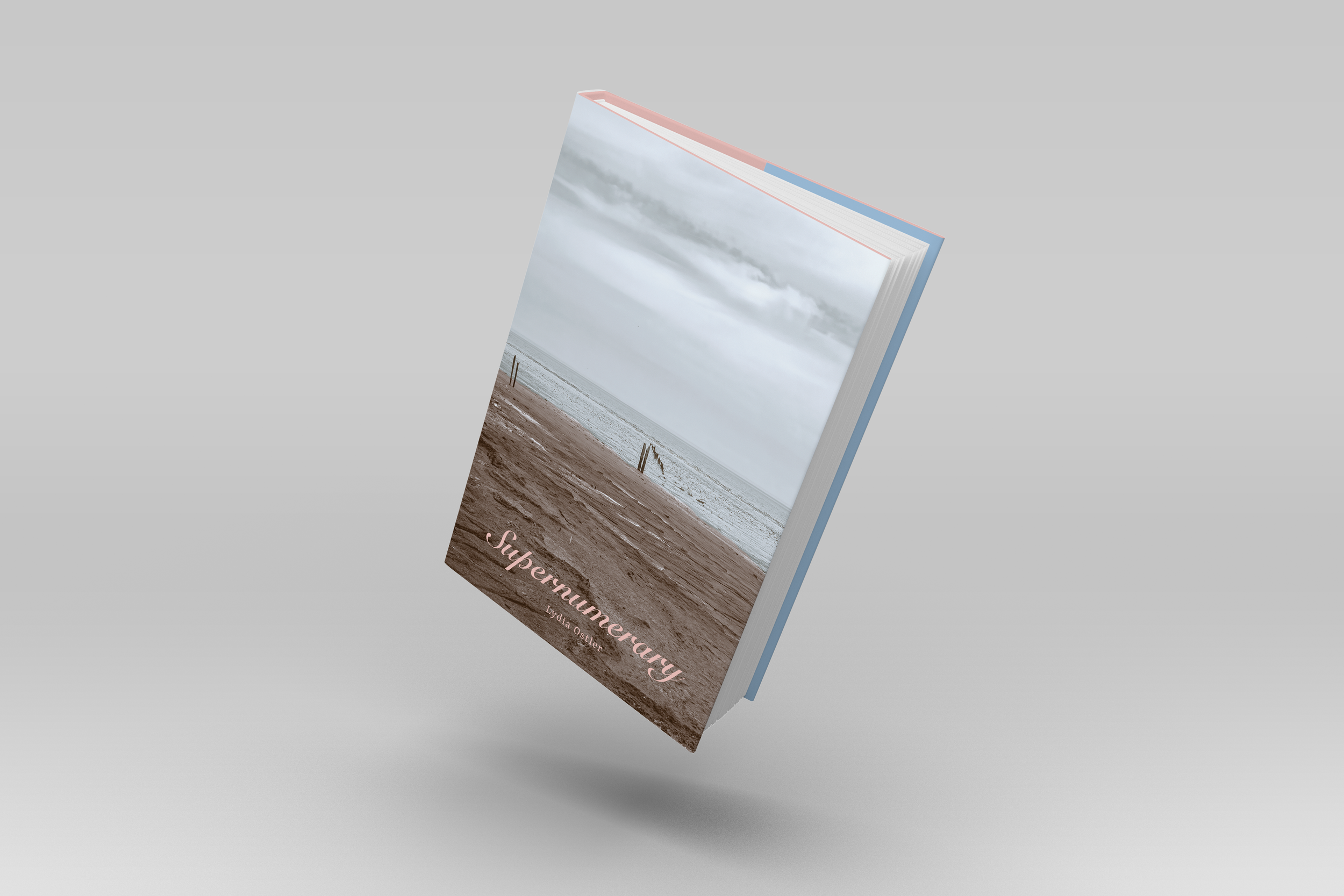 cover2mock2fly.png