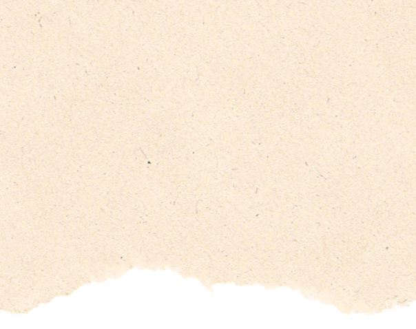 Cream-colored textured background with no objects or additional details.