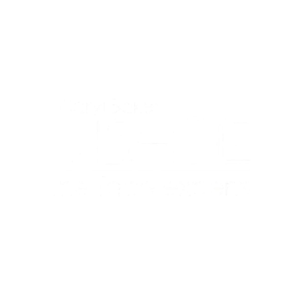 Logo for Visage, a face care brand, with the tagline 'the face experts' and the name 'Caryl Baker' above.