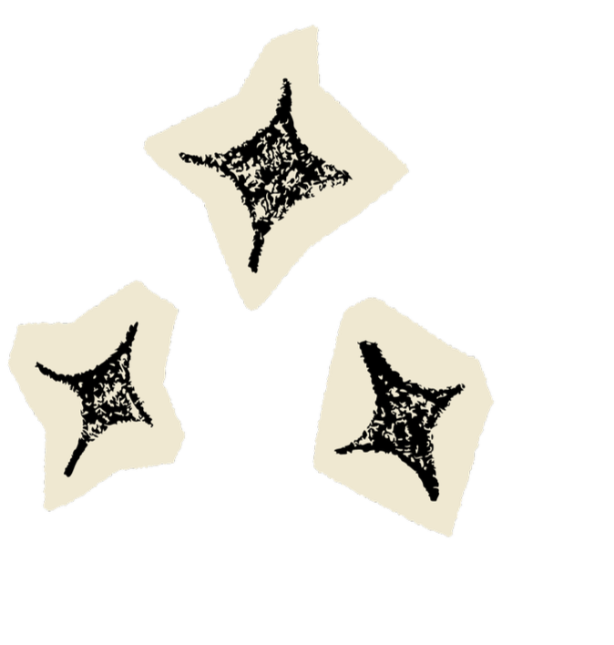 Three black and white illustrations of a spider web inside a star-shaped outline, arranged randomly.