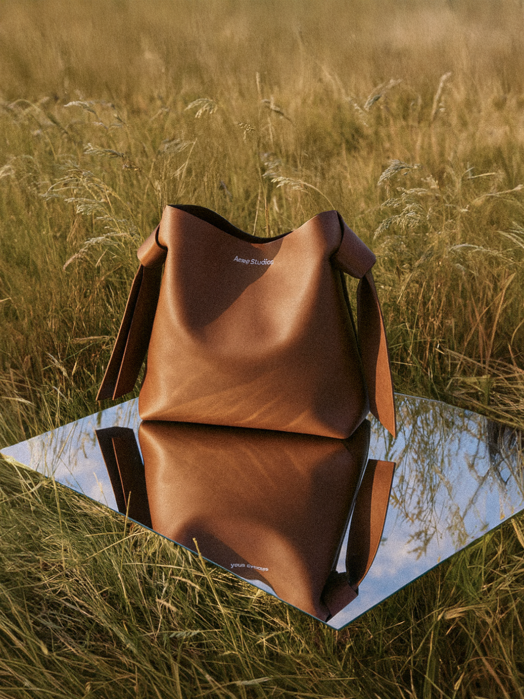 A brown leather tote bag with the brand name 'Aeez Studio' on it, placed on a reflective mirror on the ground amidst tall grass.