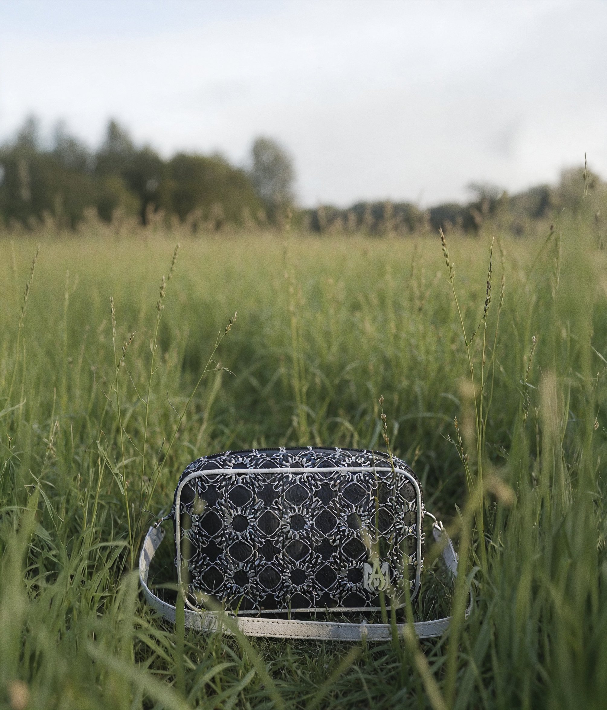 A black and white patterned sneaker shoe in tall grass, with a background of trees and a cloudy sky.